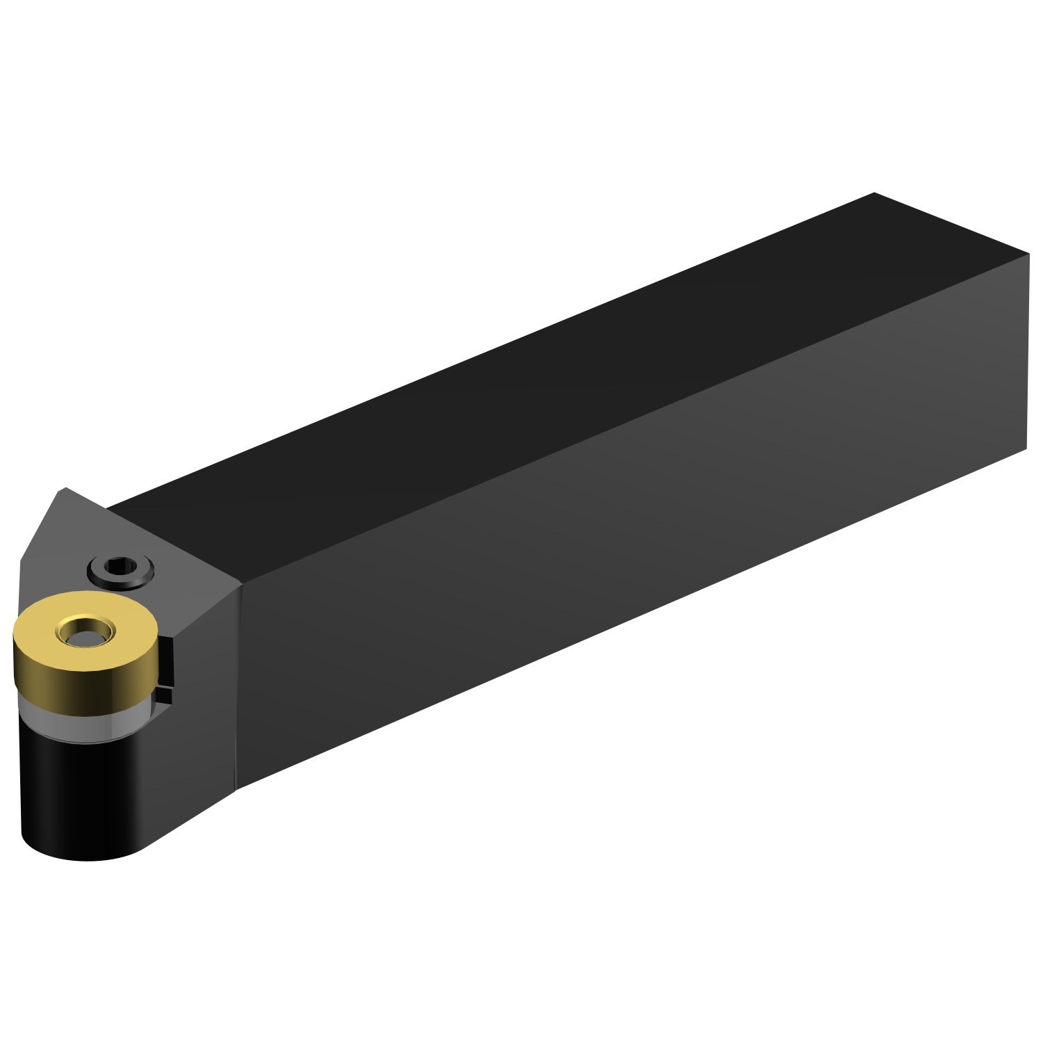 PRGNR 4040S 25  T-Max® P shank tool for turning