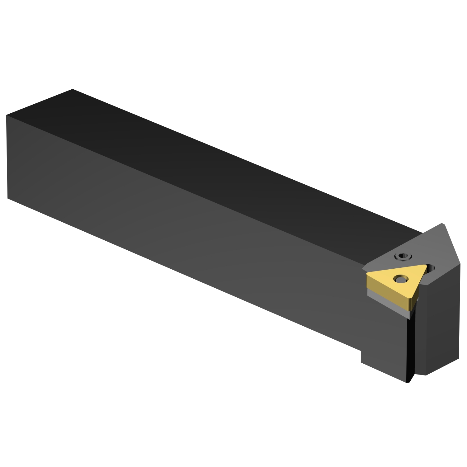 PTGNL 4040S 27  T-Max® P shank tool for turning