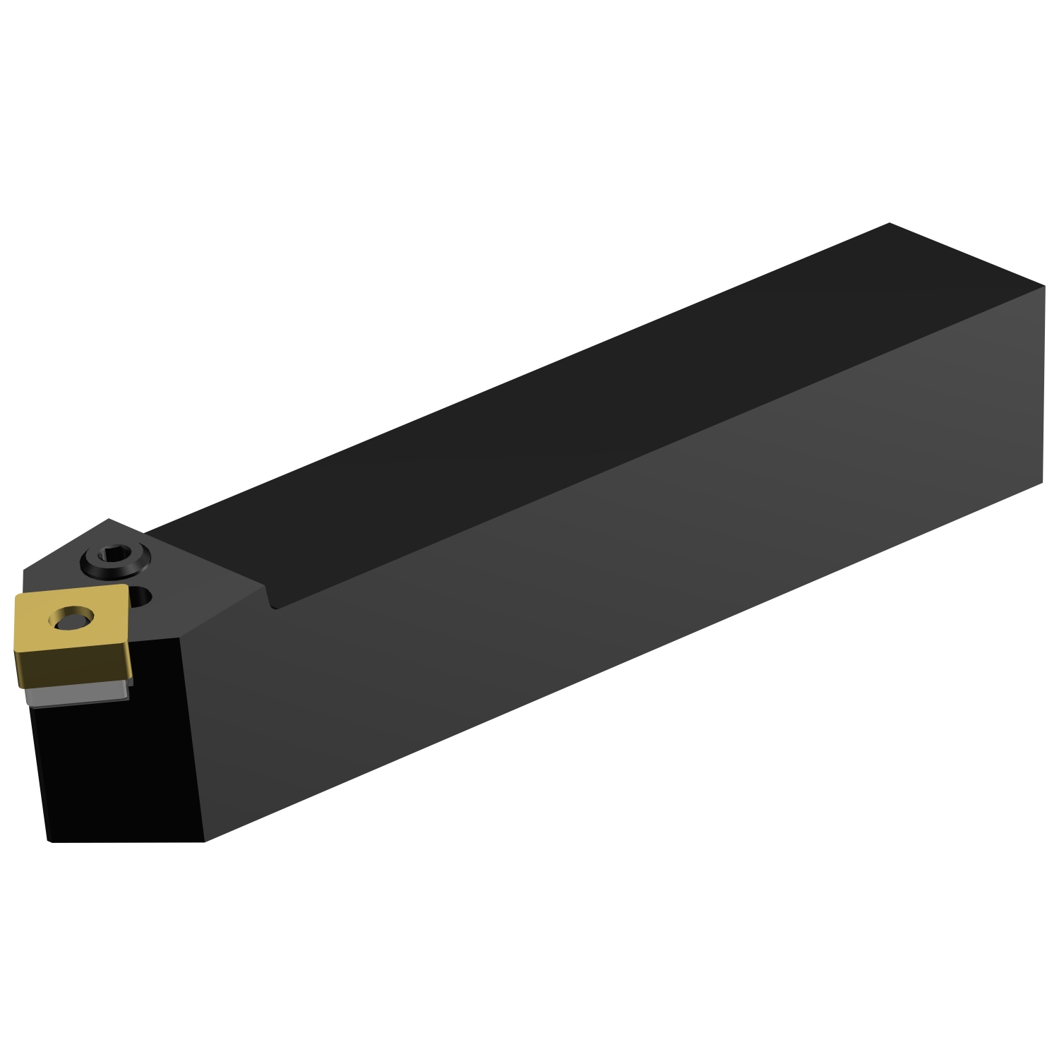 PSDNN 2525M 12 T-Max® P shank tool for turning