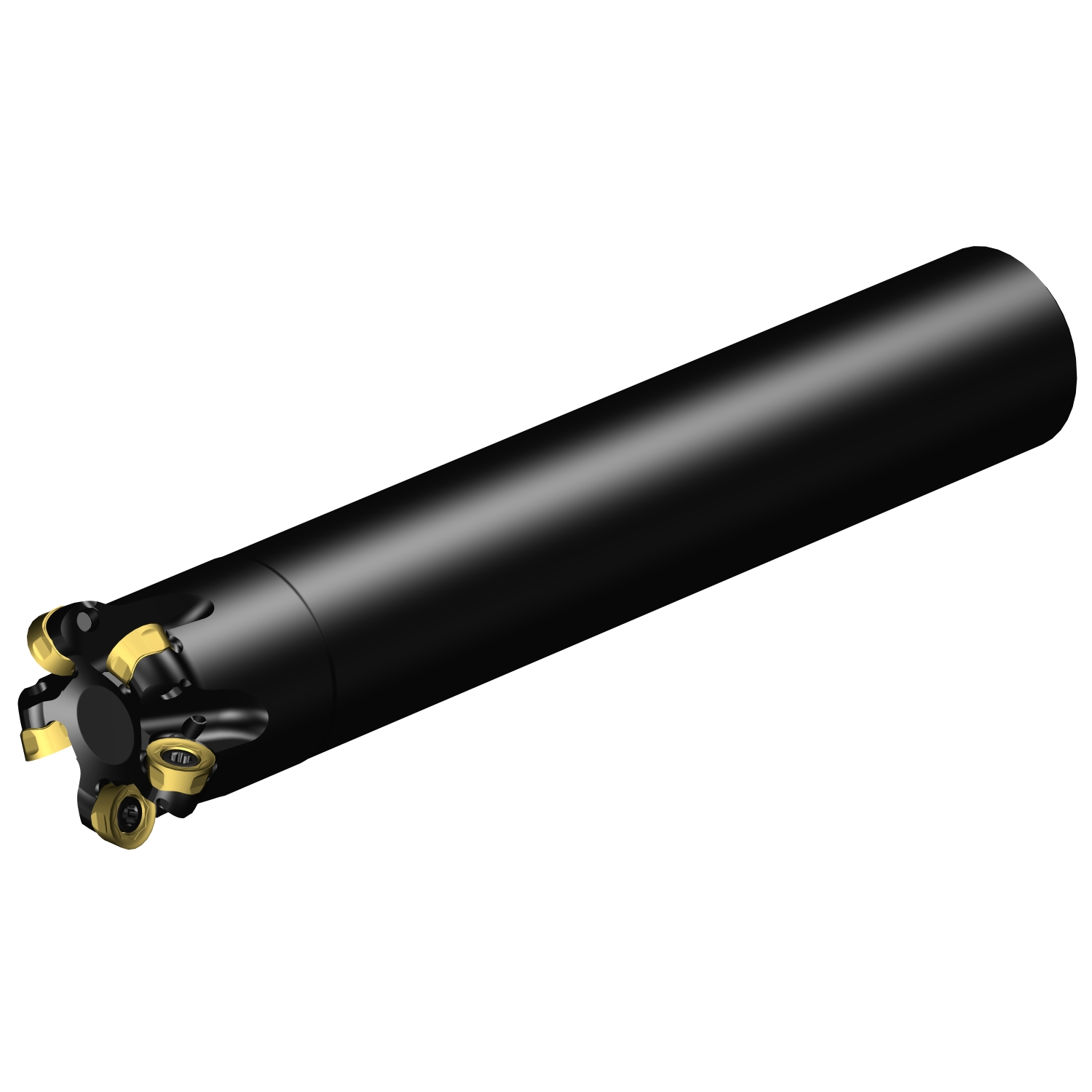 A600-038O32-10H  CoroMill® 600 face milling cutter