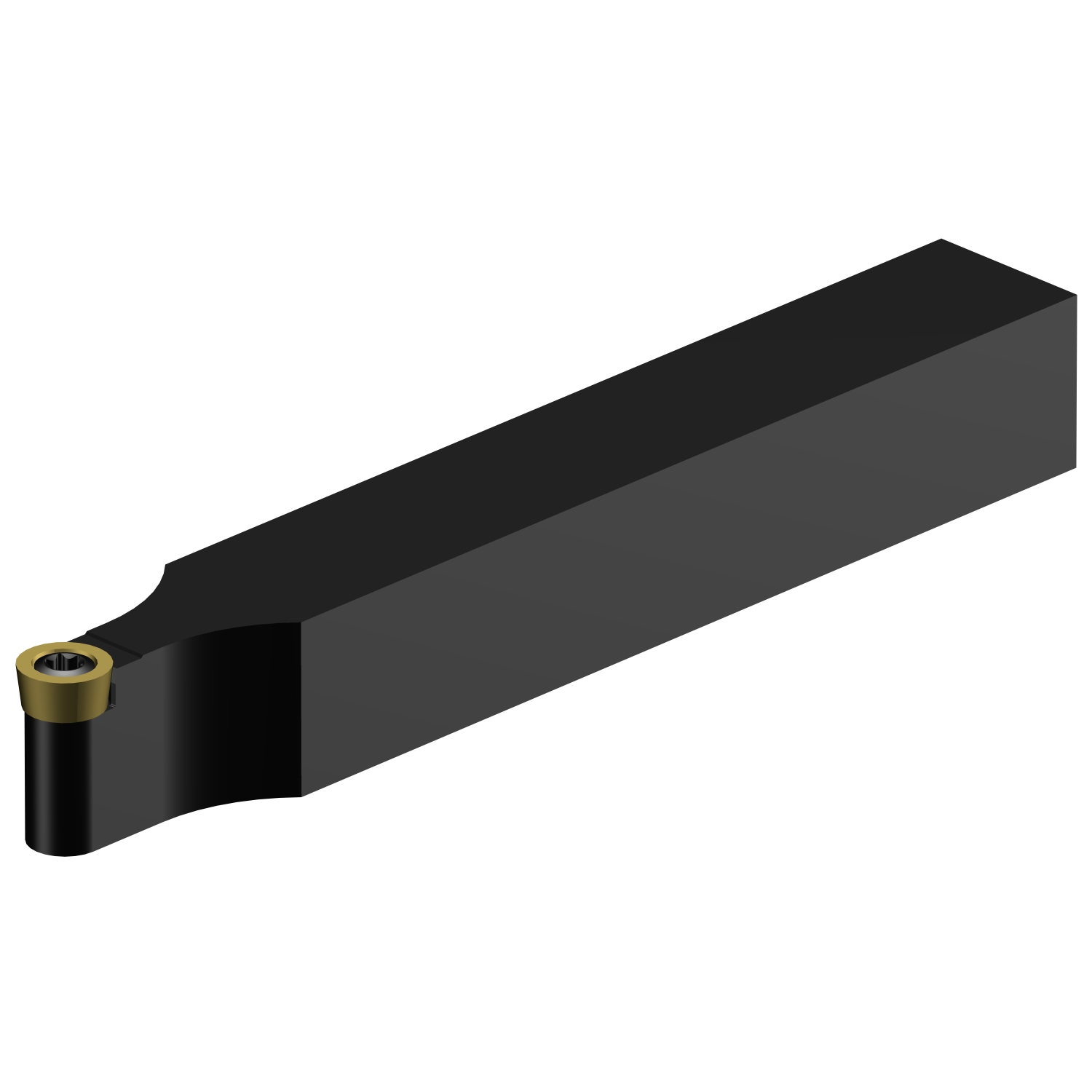 SRDCN 1010E 05 CoroTurn® 107 shank tool for turning