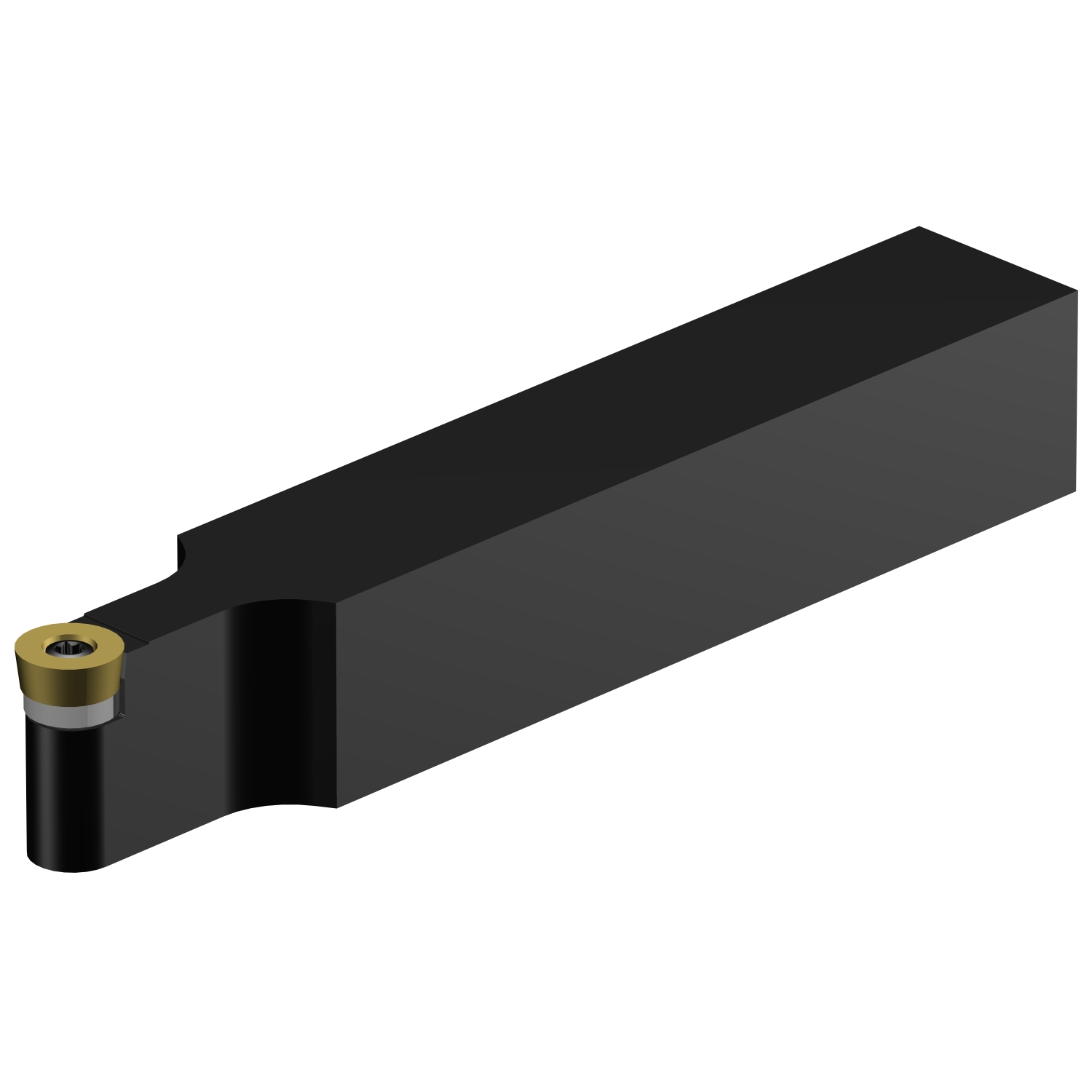 SRDCN 2525M 12-A  CoroTurn® 107 shank tool for turning