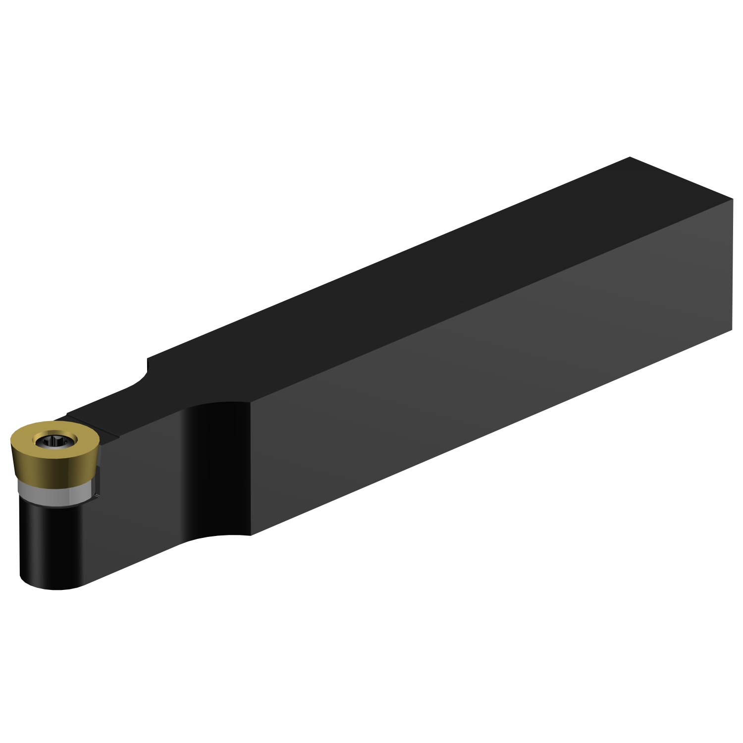 SRDCN 2020K 12-A  CoroTurn® 107 shank tool for turning