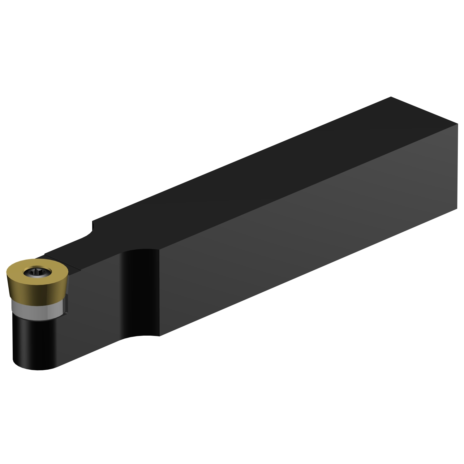 SRDCN 2525M 16-A  CoroTurn® 107 shank tool for turning