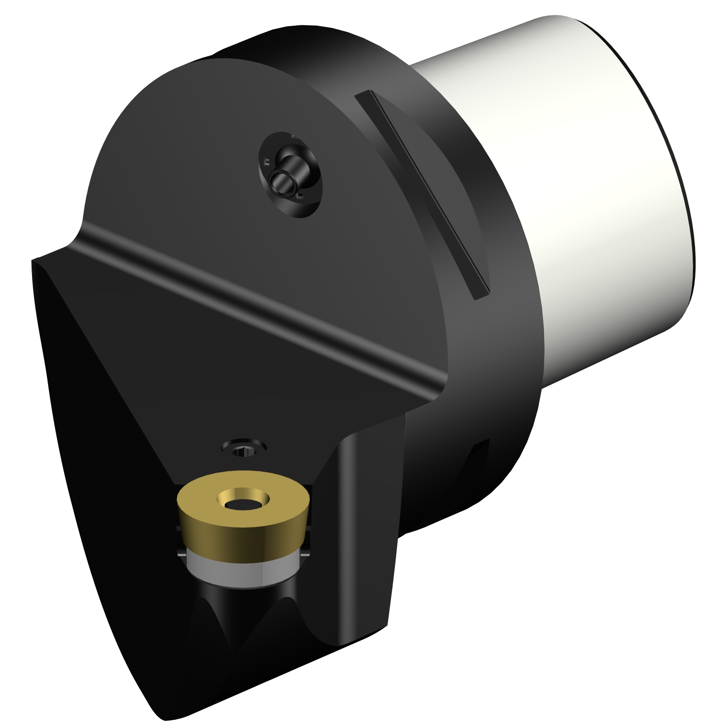 C8-PRSCR-55080-20  T-Max® P cutting unit for turning