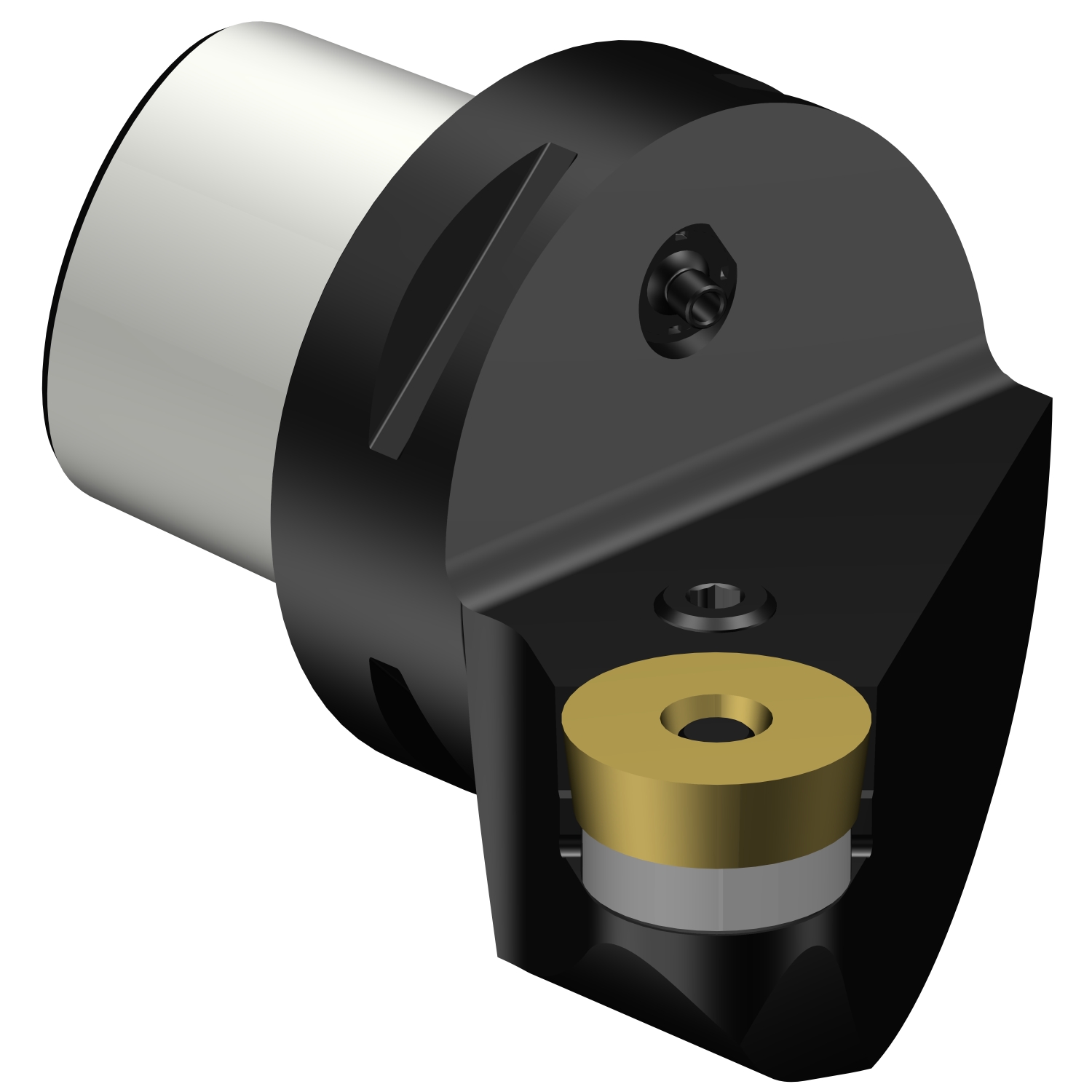 C6-PRSCL-45065-25  T-Max® P cutting unit for turning