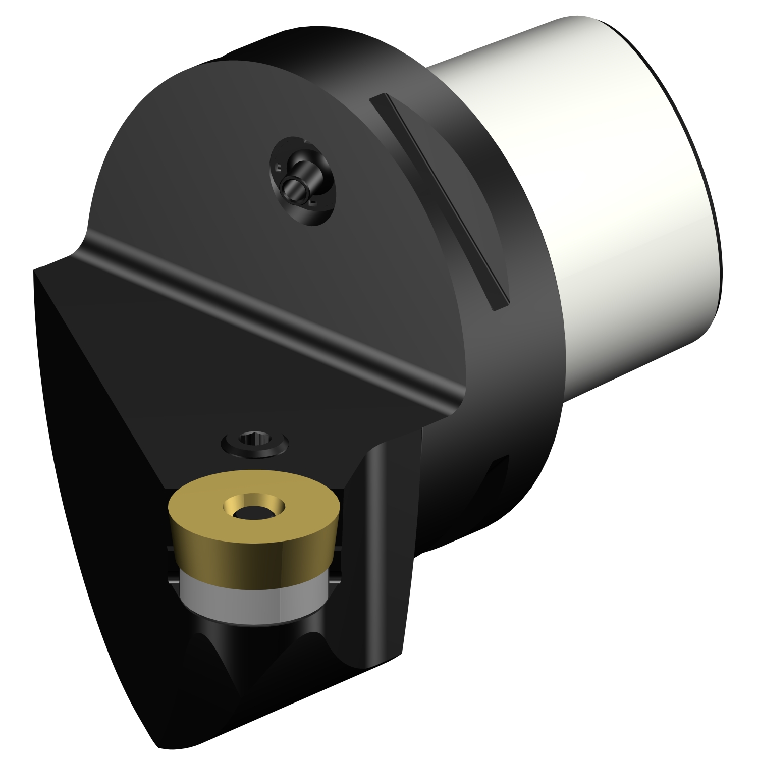 C8-PRSCR-55080-25  T-Max® P cutting unit for turning