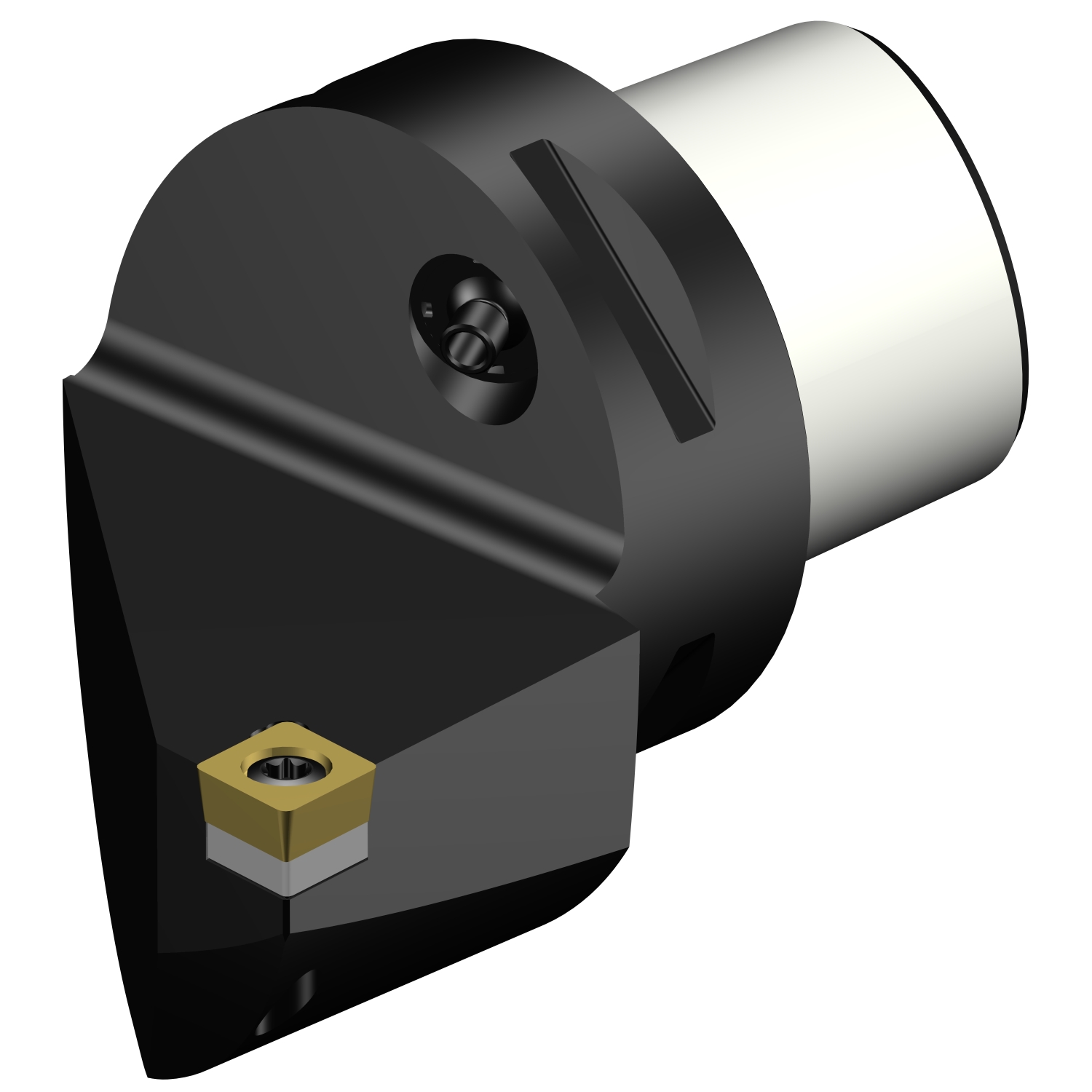 C5-SCLCR-35060-09  CoroTurn® 107 cutting unit for turning