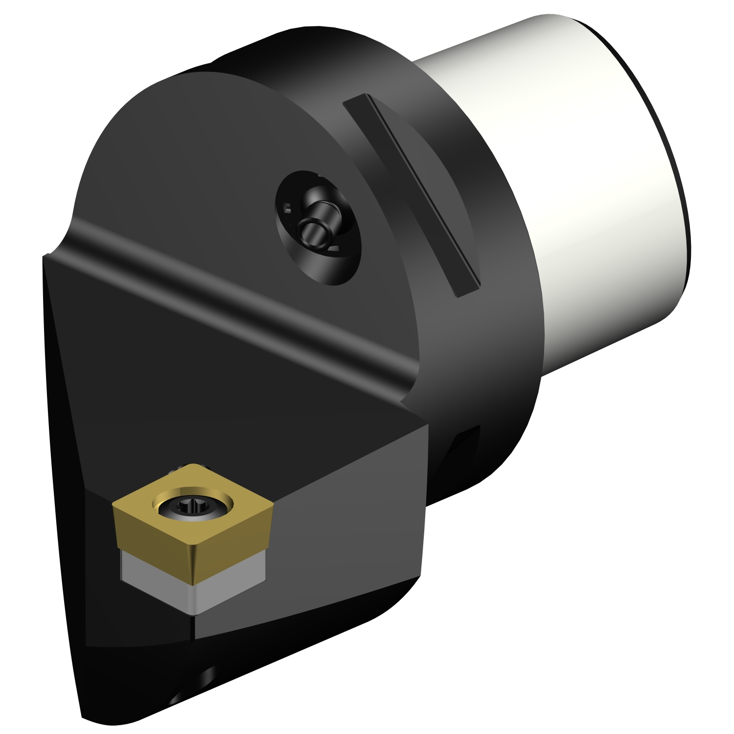 C5-SCLCR-35060-12  CoroTurn® 107 cutting unit for turning