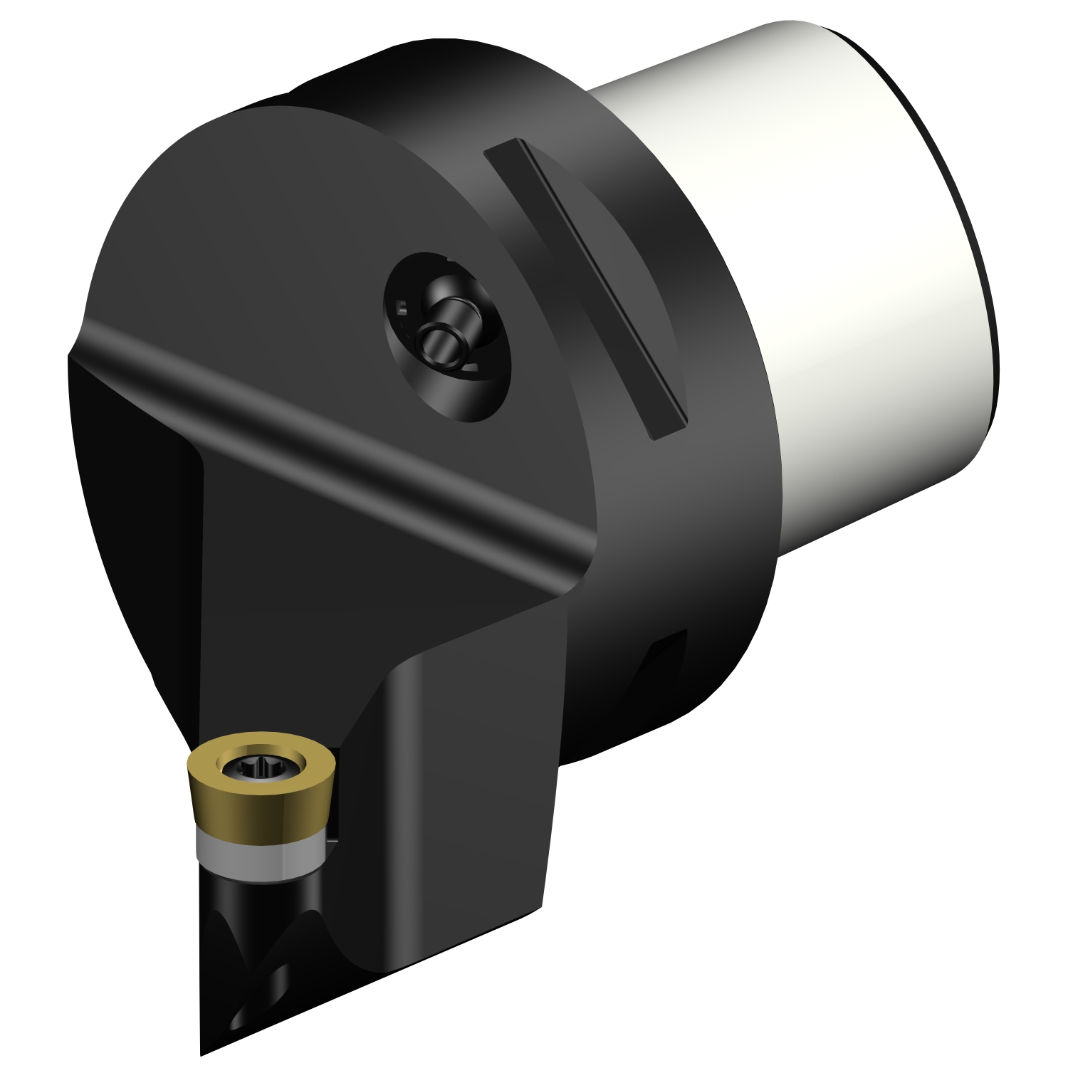 C5-SRSCR-35060-10  CoroTurn® 107 cutting unit for turning