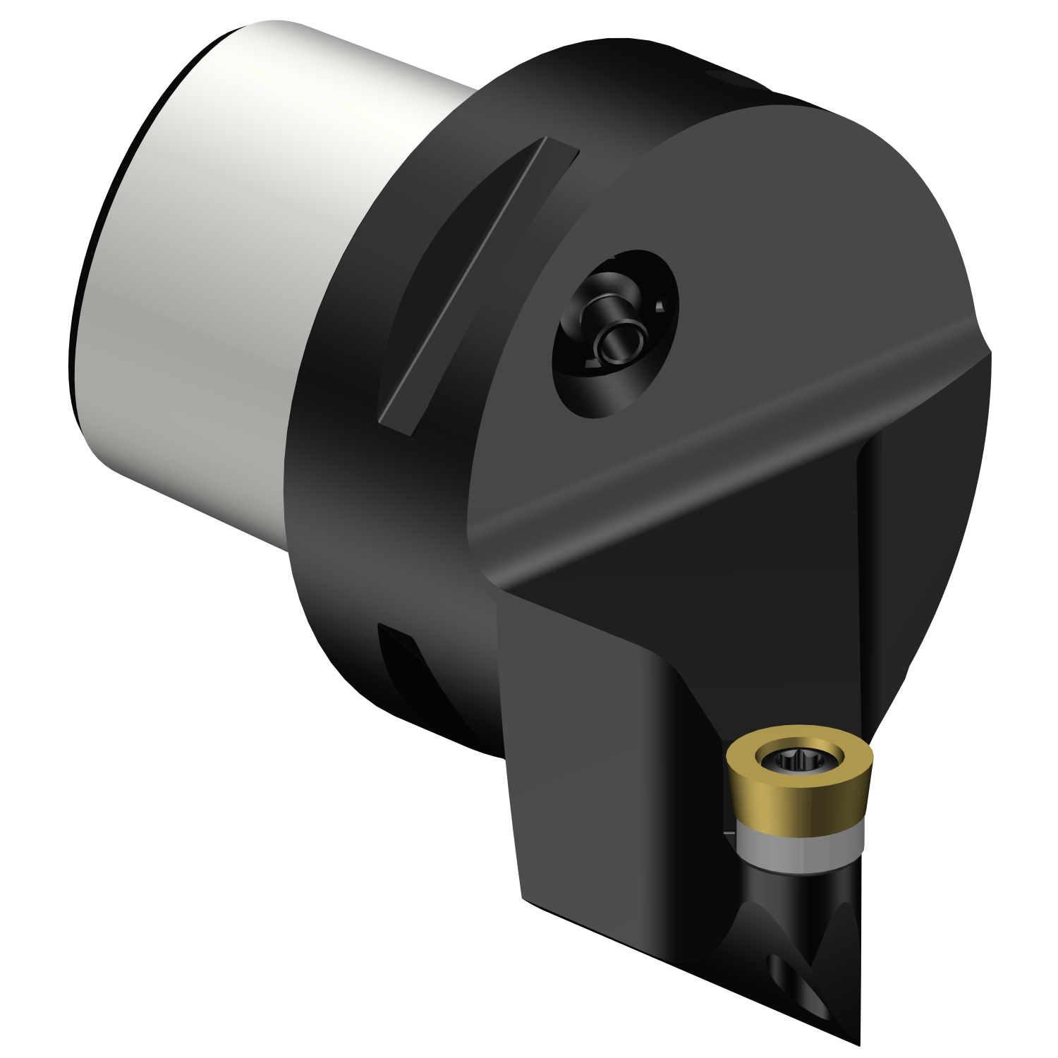 C5-SRSCL-35060-10  CoroTurn® 107 cutting unit for turning