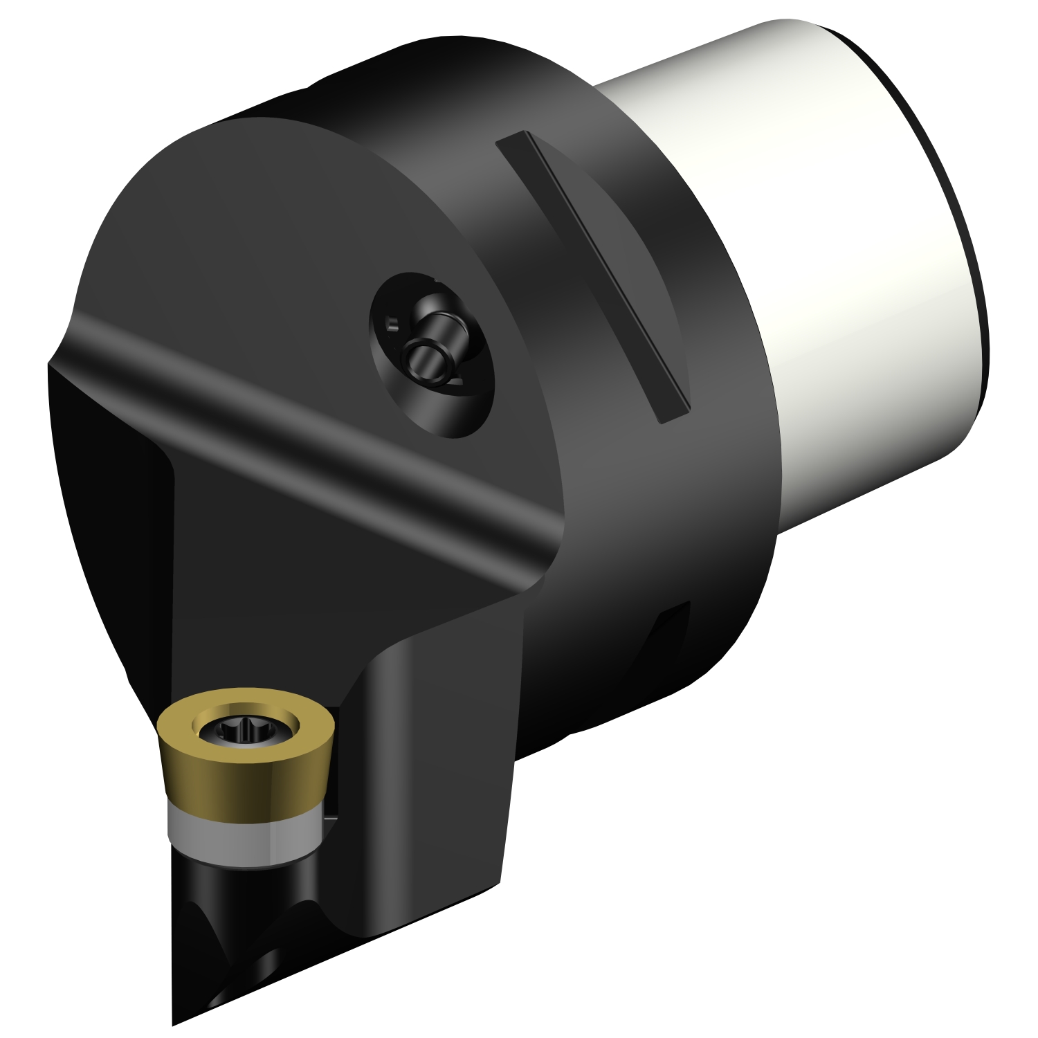 C4-SRSCR-27050-10  CoroTurn® 107 cutting unit for turning