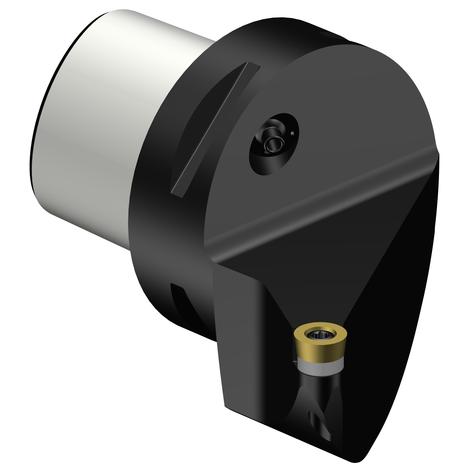 C6-SRSCL-45065-10  CoroTurn® 107 cutting unit for turning