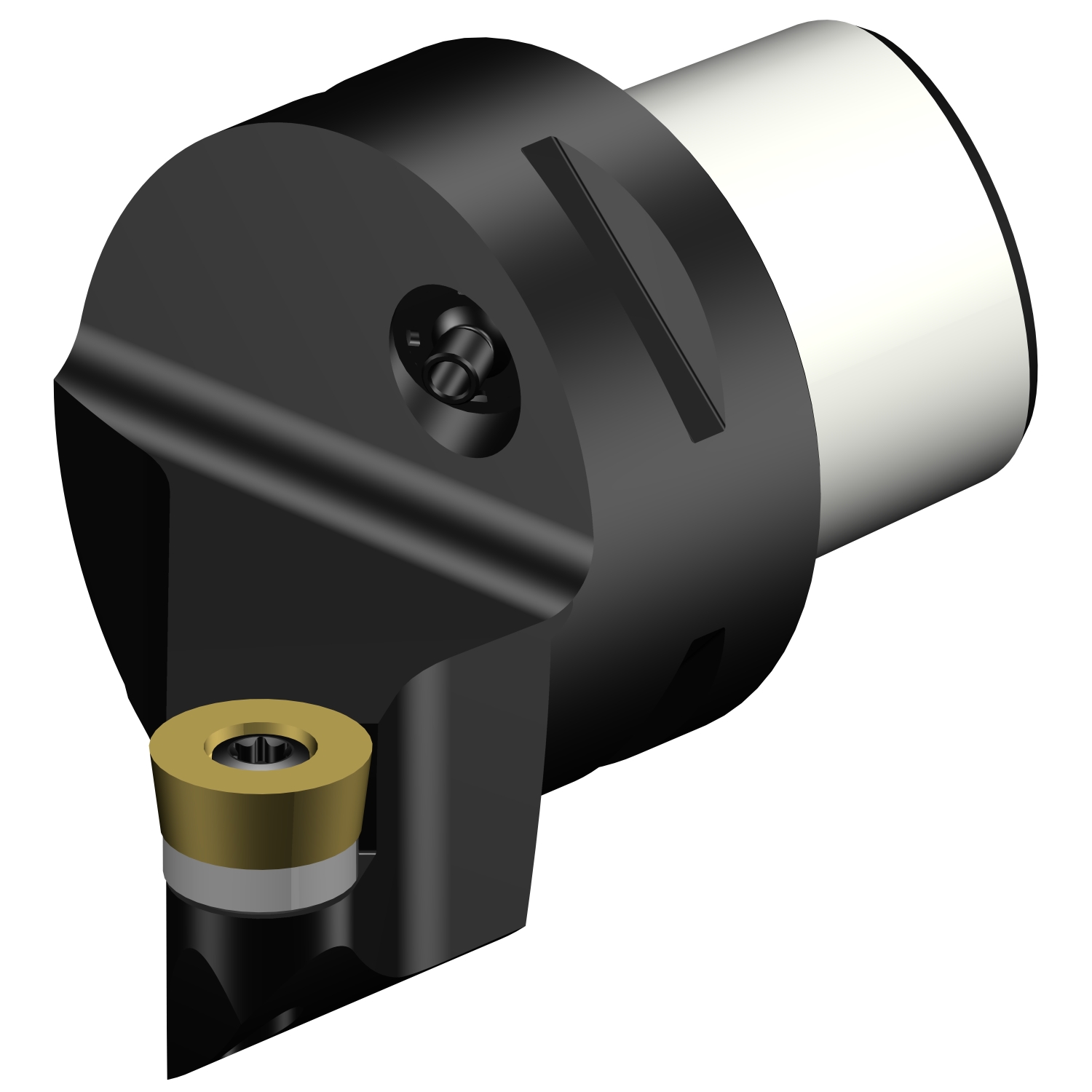 C4-SRSCR-27050-12  CoroTurn® 107 cutting unit for turning