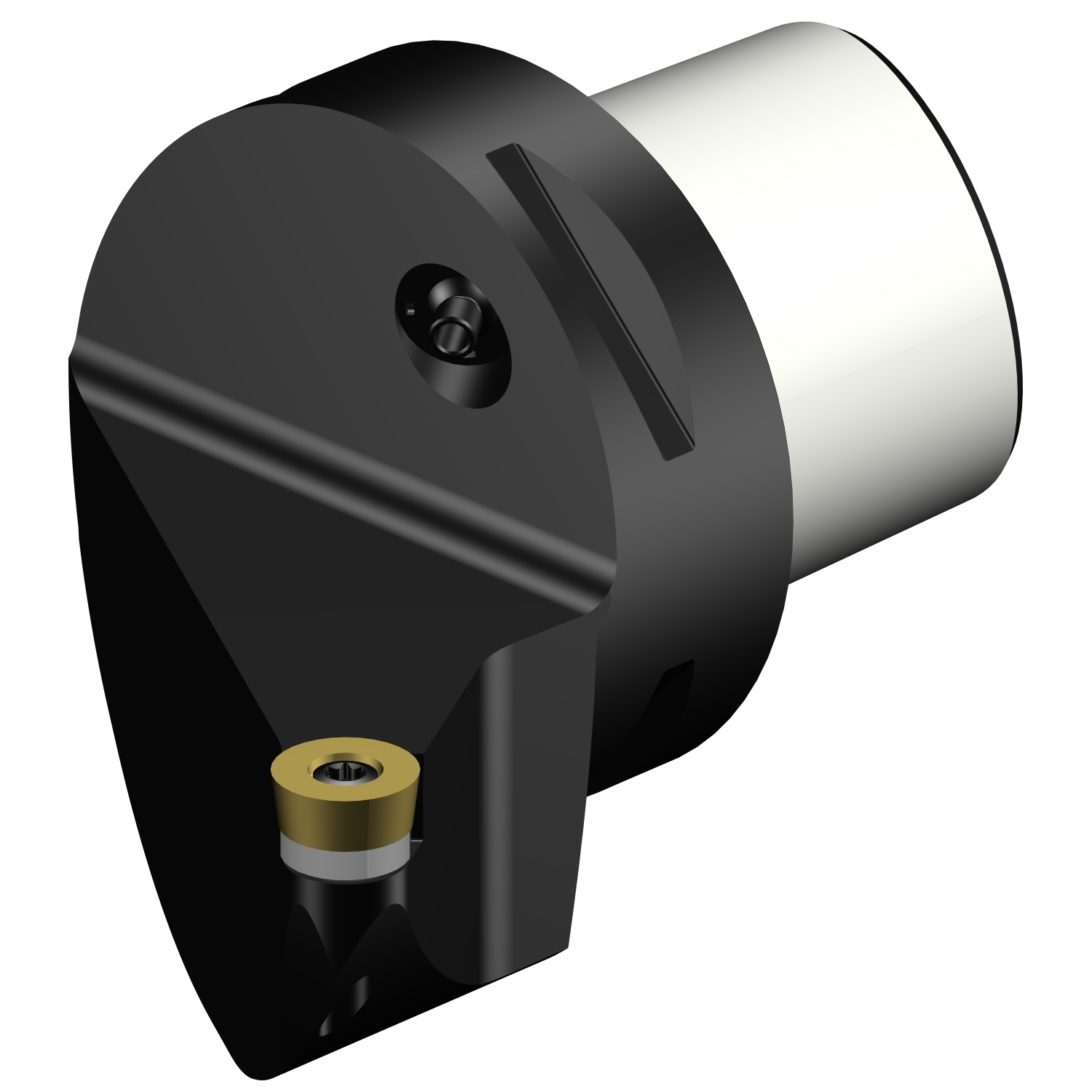 C6-SRSCR-45065-12  CoroTurn® 107 cutting unit for turning