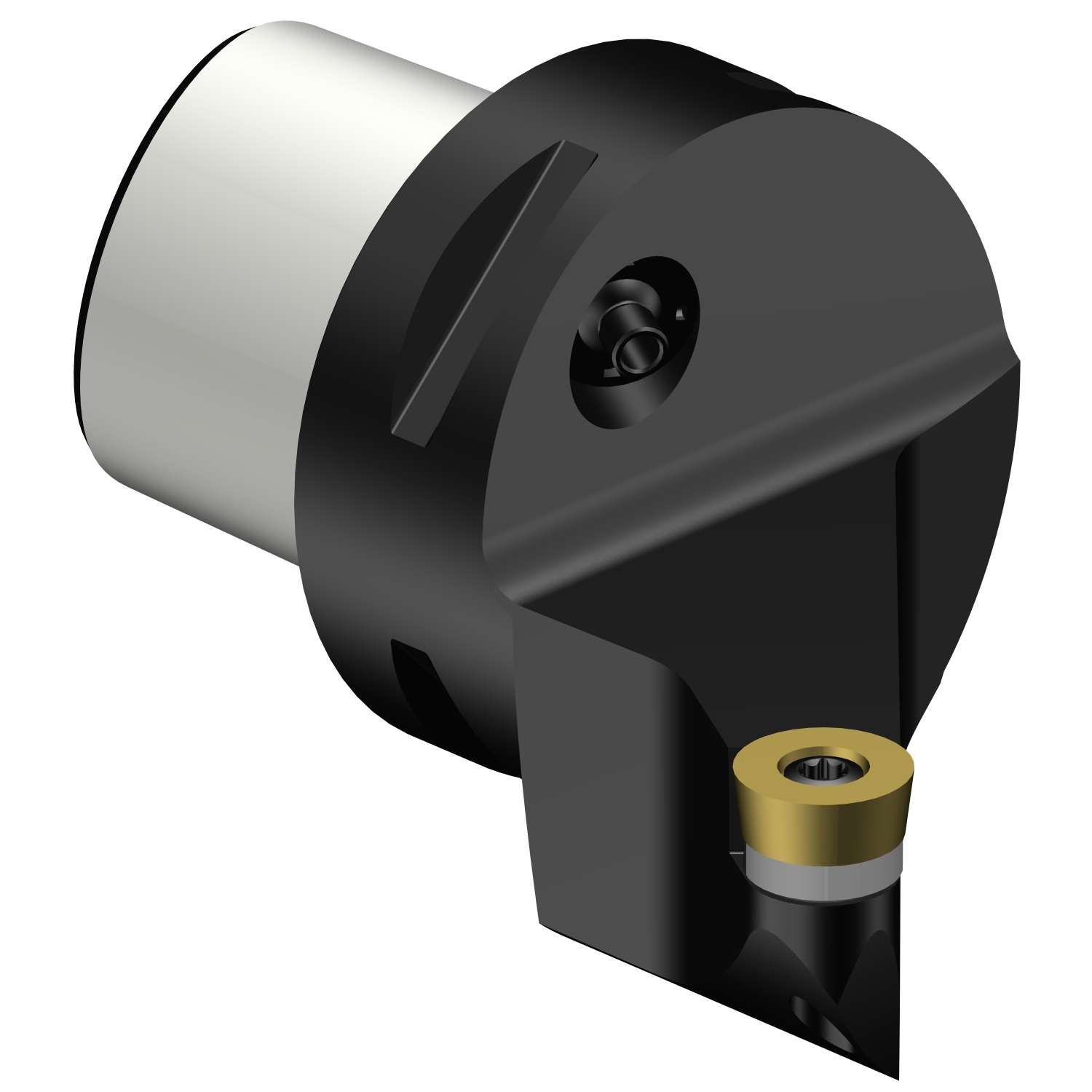 C5-SRSCL-35060-12  CoroTurn® 107 cutting unit for turning