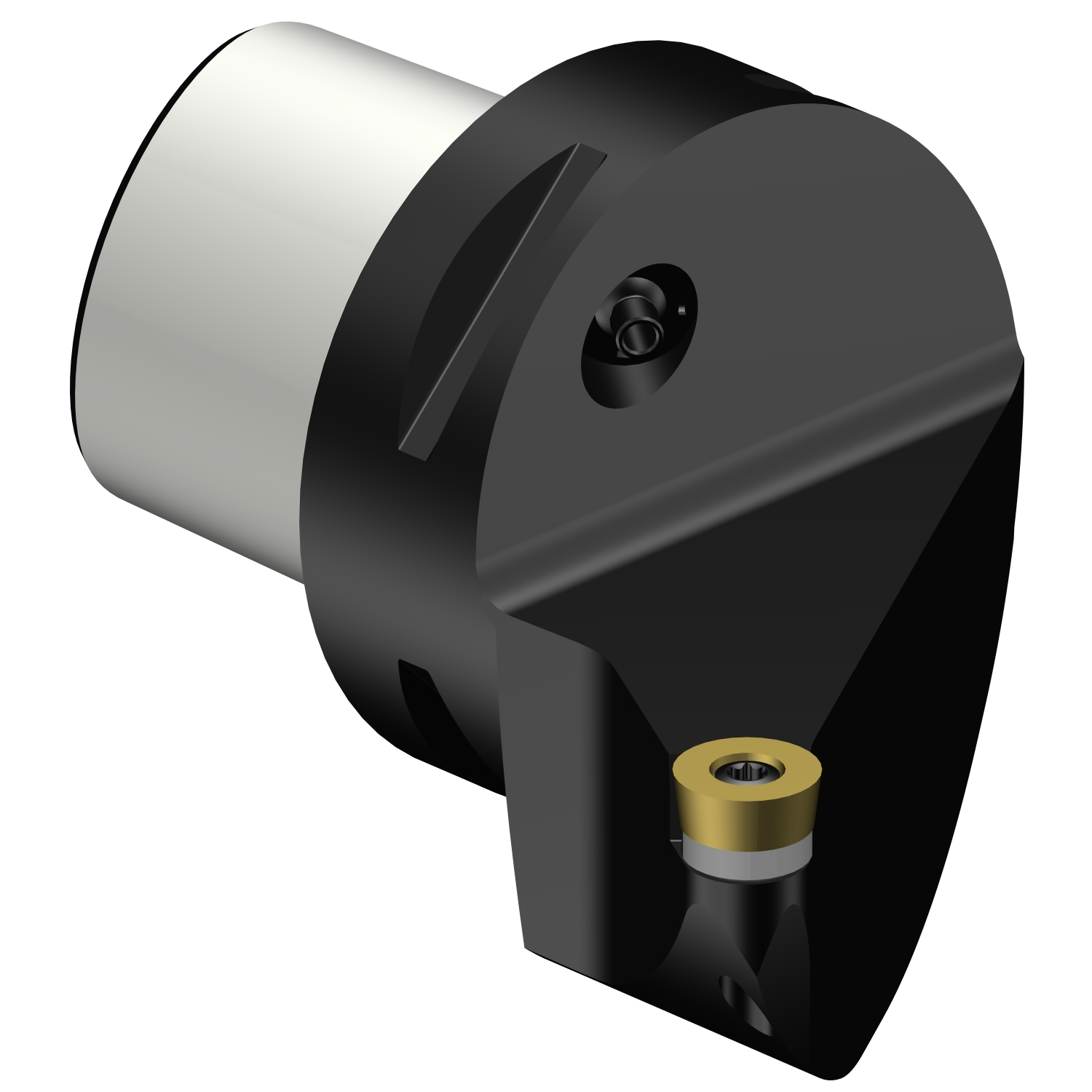 C6-SRSCL-45065-12  CoroTurn® 107 cutting unit for turning