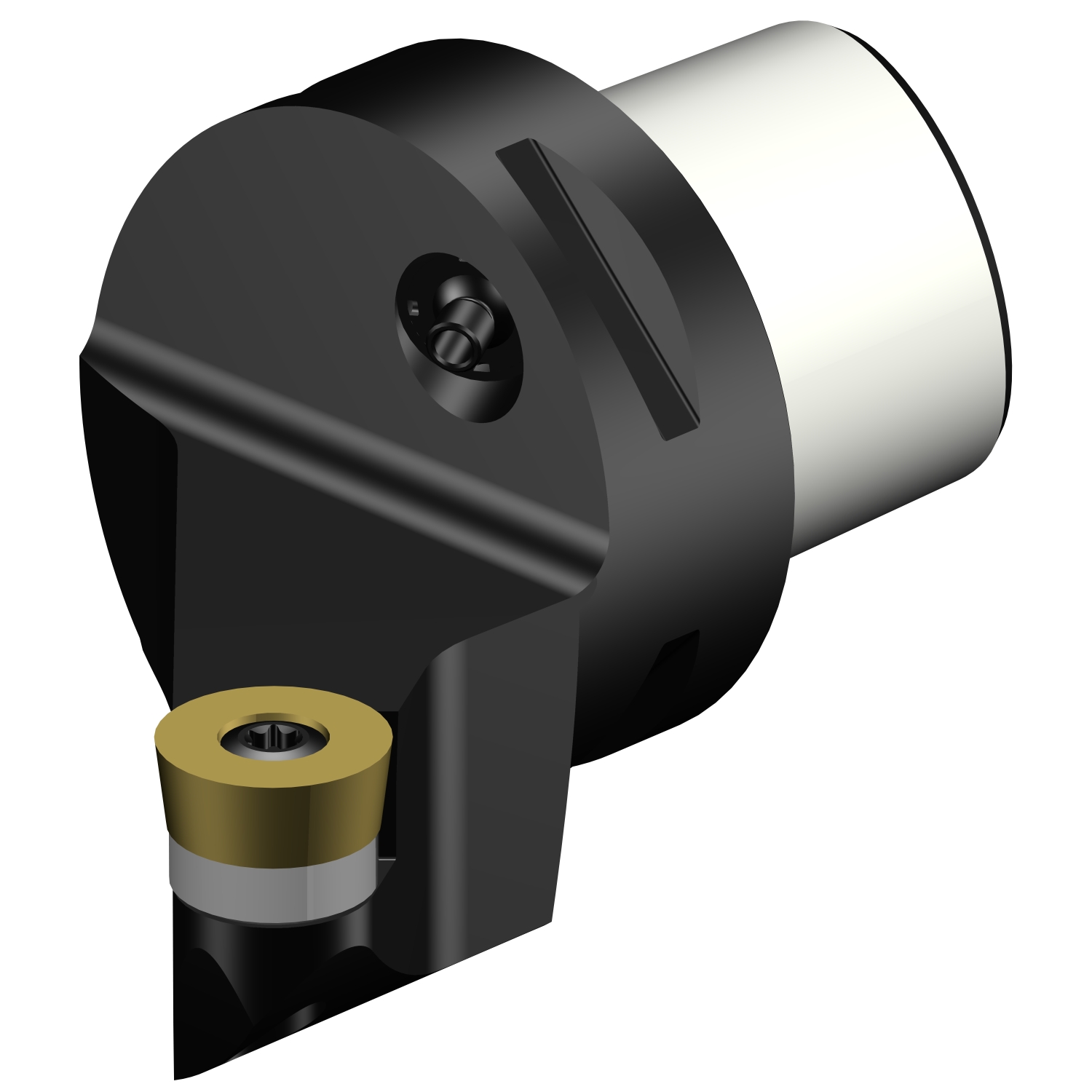 C5-SRSCR-35060-16  CoroTurn® 107 cutting unit for turning