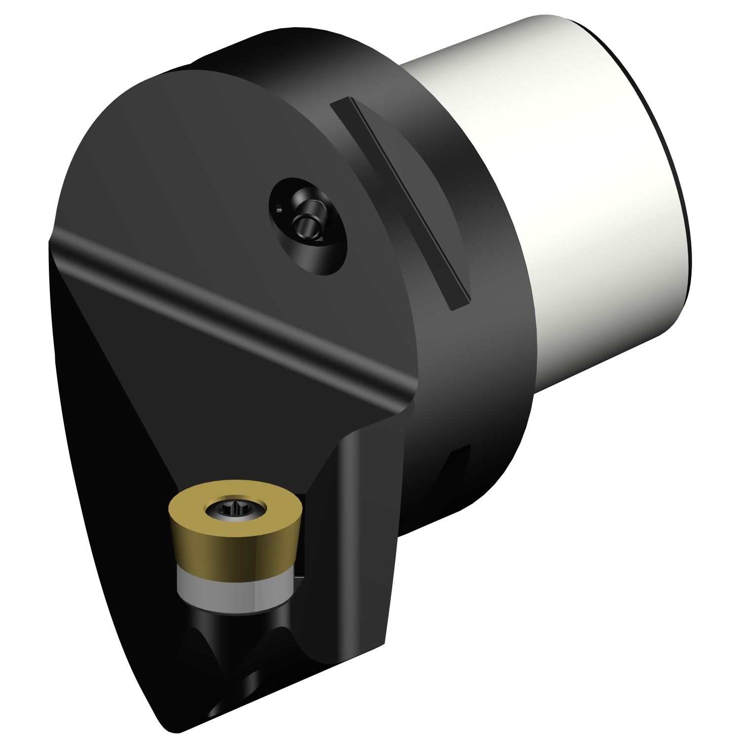 C6-SRSCR-45065-16  CoroTurn® 107 cutting unit for turning