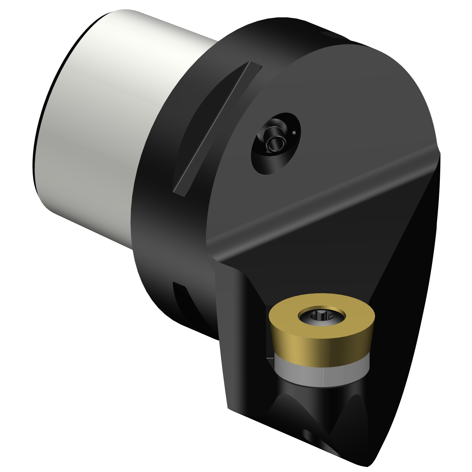 C6-SRSCL-45065-20  CoroTurn® 107 cutting unit for turning