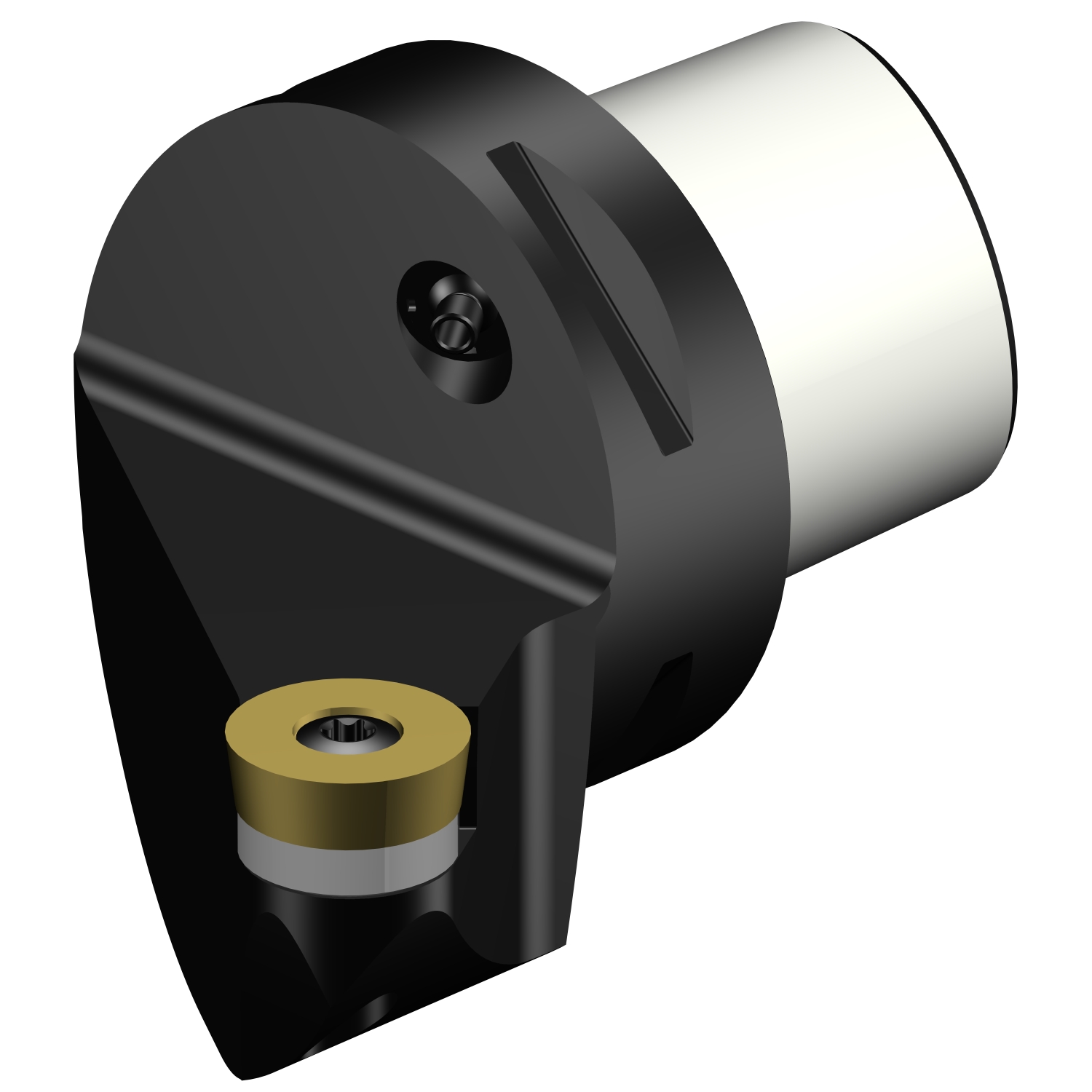 C6-SRSCR-45065-20  CoroTurn® 107 cutting unit for turning