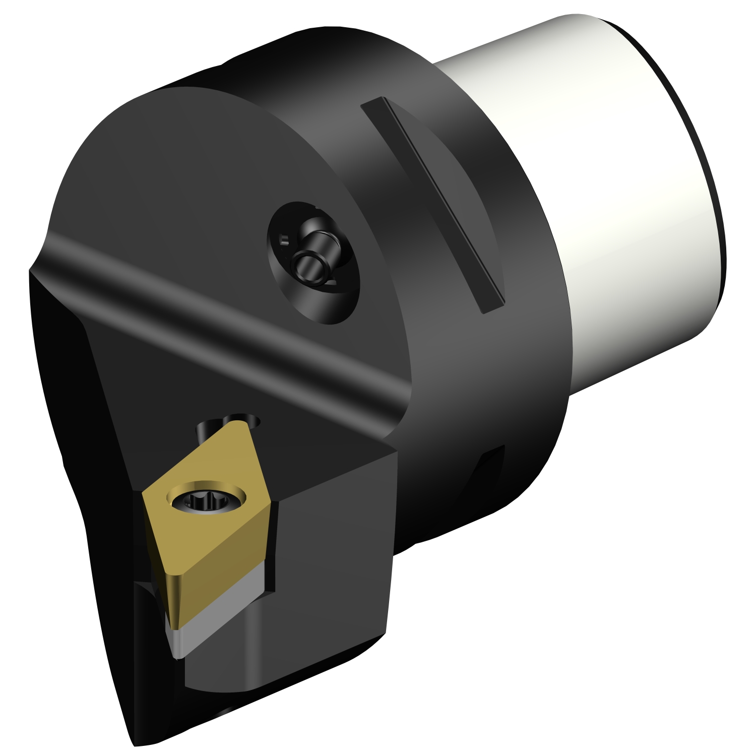 C4-SVHBR-27050-16  CoroTurn® 107 cutting unit for turning