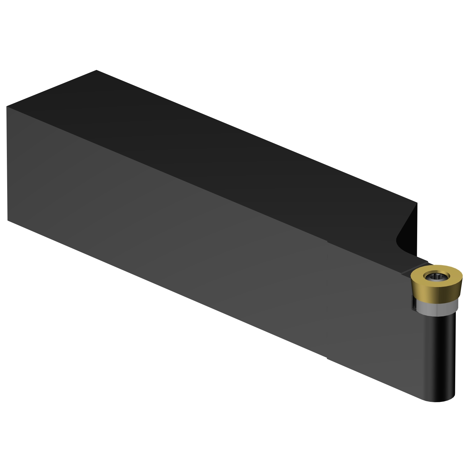 SRACL 20 4D CoroTurn® 107 shank tool for turning