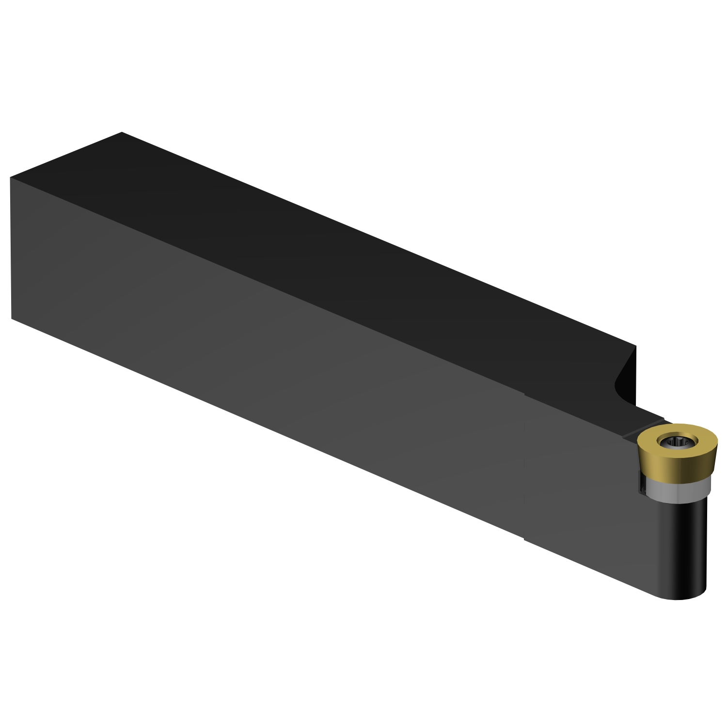 SRACL 16 4D CoroTurn® 107 shank tool for turning