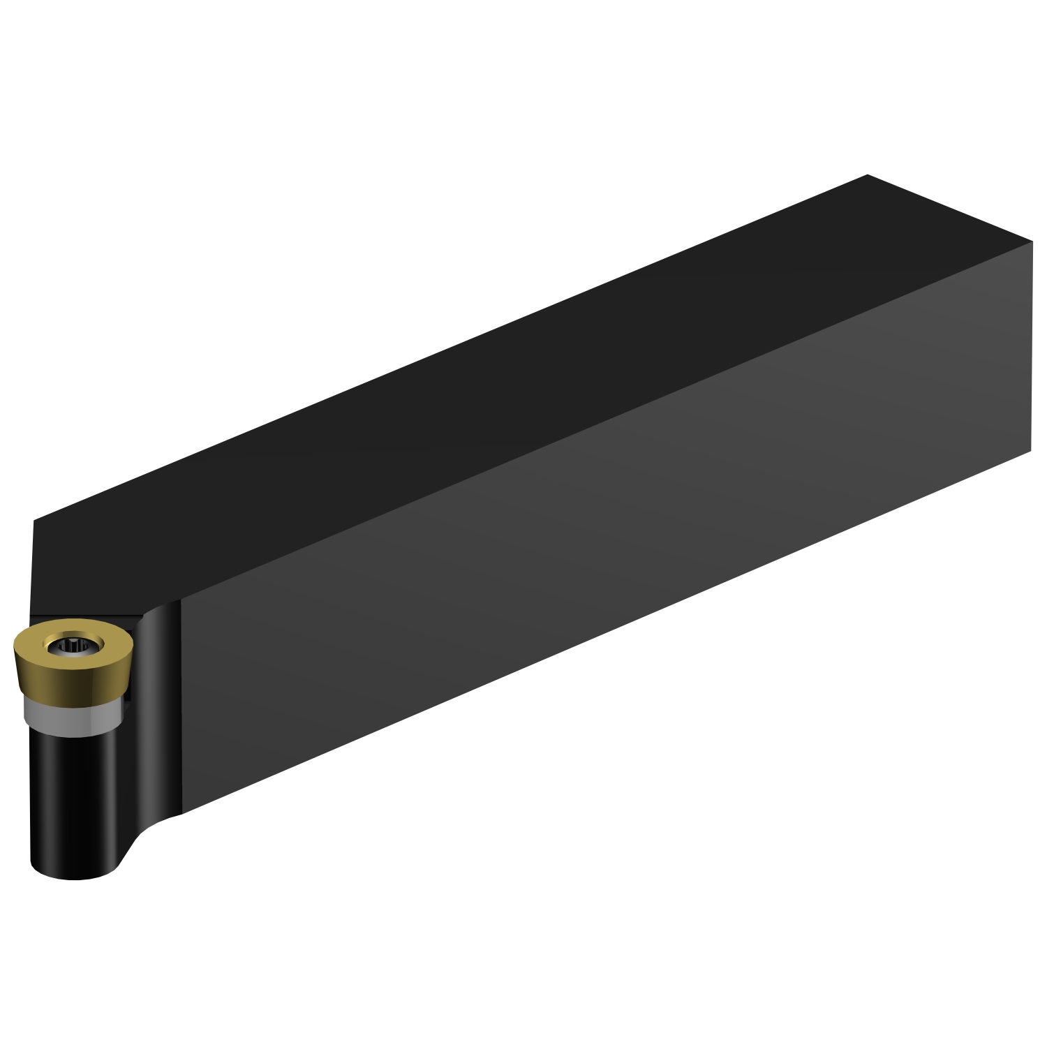 SRGCR 16 4D CoroTurn® 107 shank tool for turning