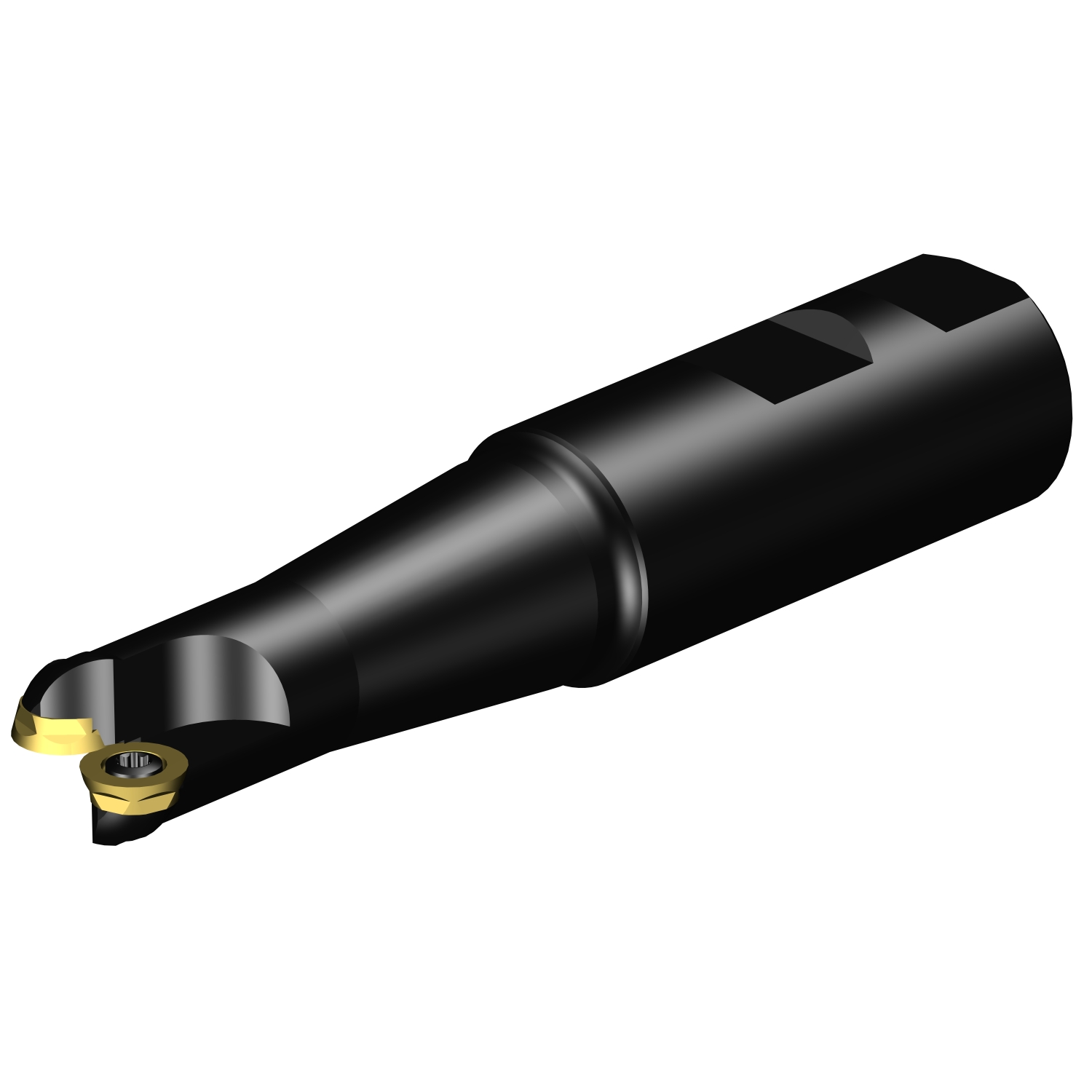 RA300-019M25-10L CoroMill® 300 face milling cutter