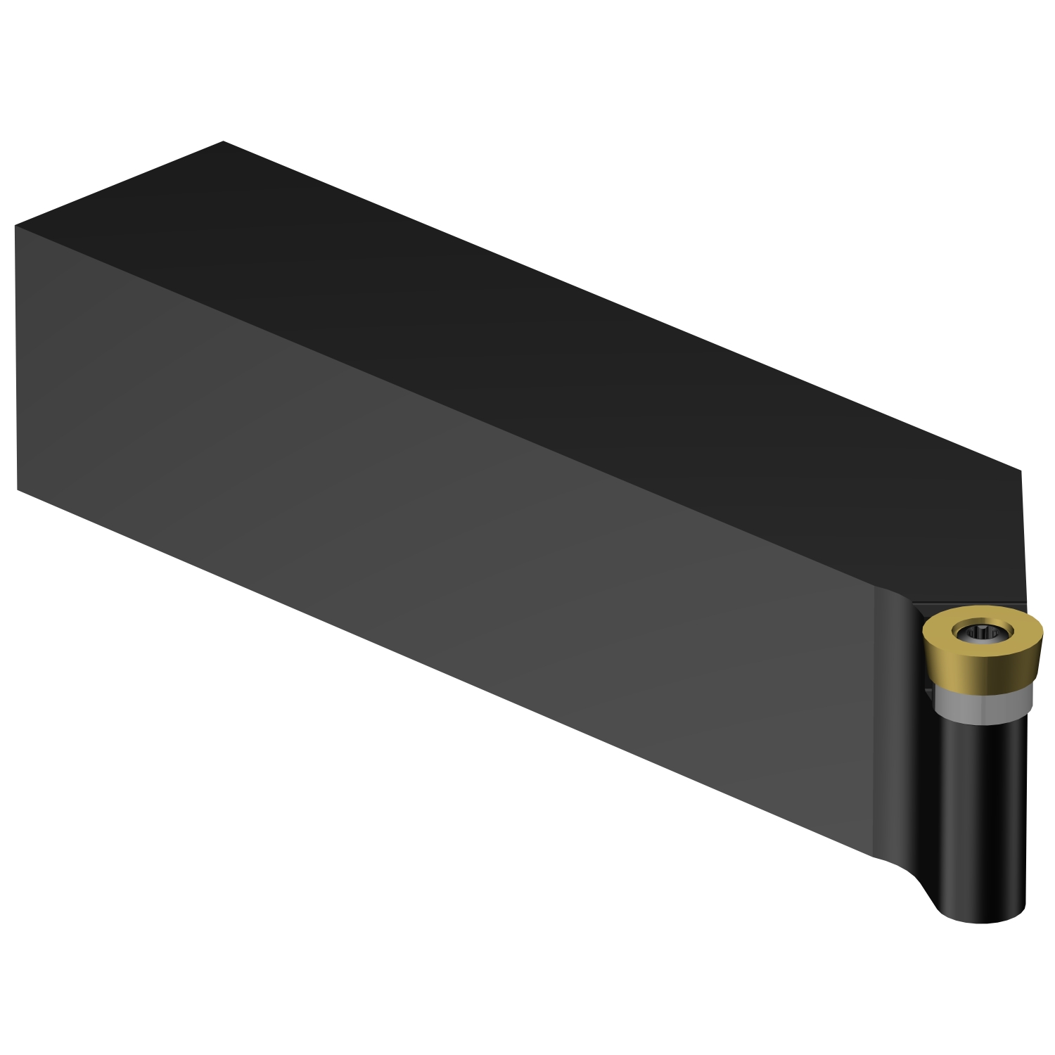 SRGCL 20 4D CoroTurn® 107 shank tool for turning
