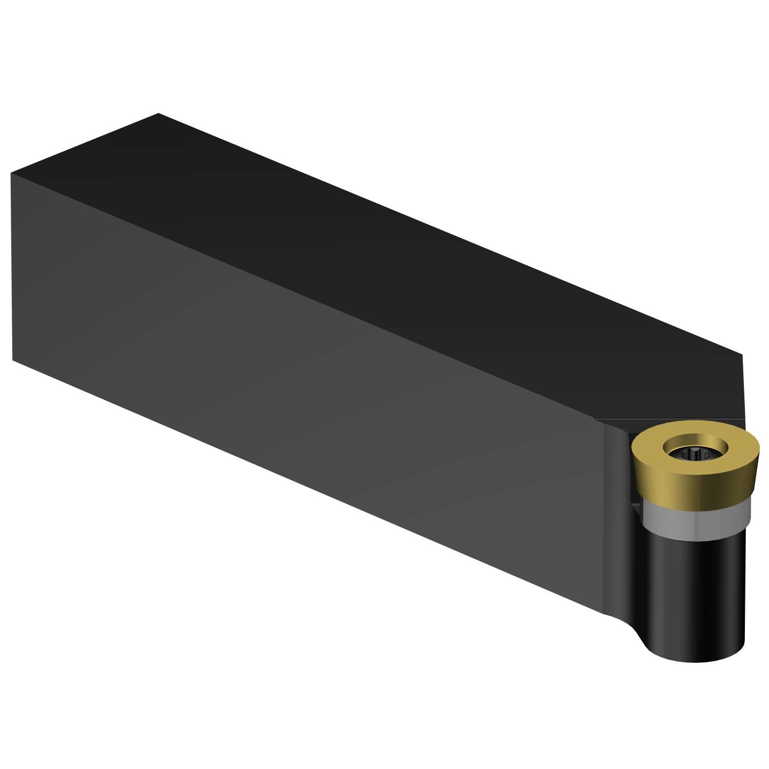SRGCL 20 6D CoroTurn® 107 shank tool for turning