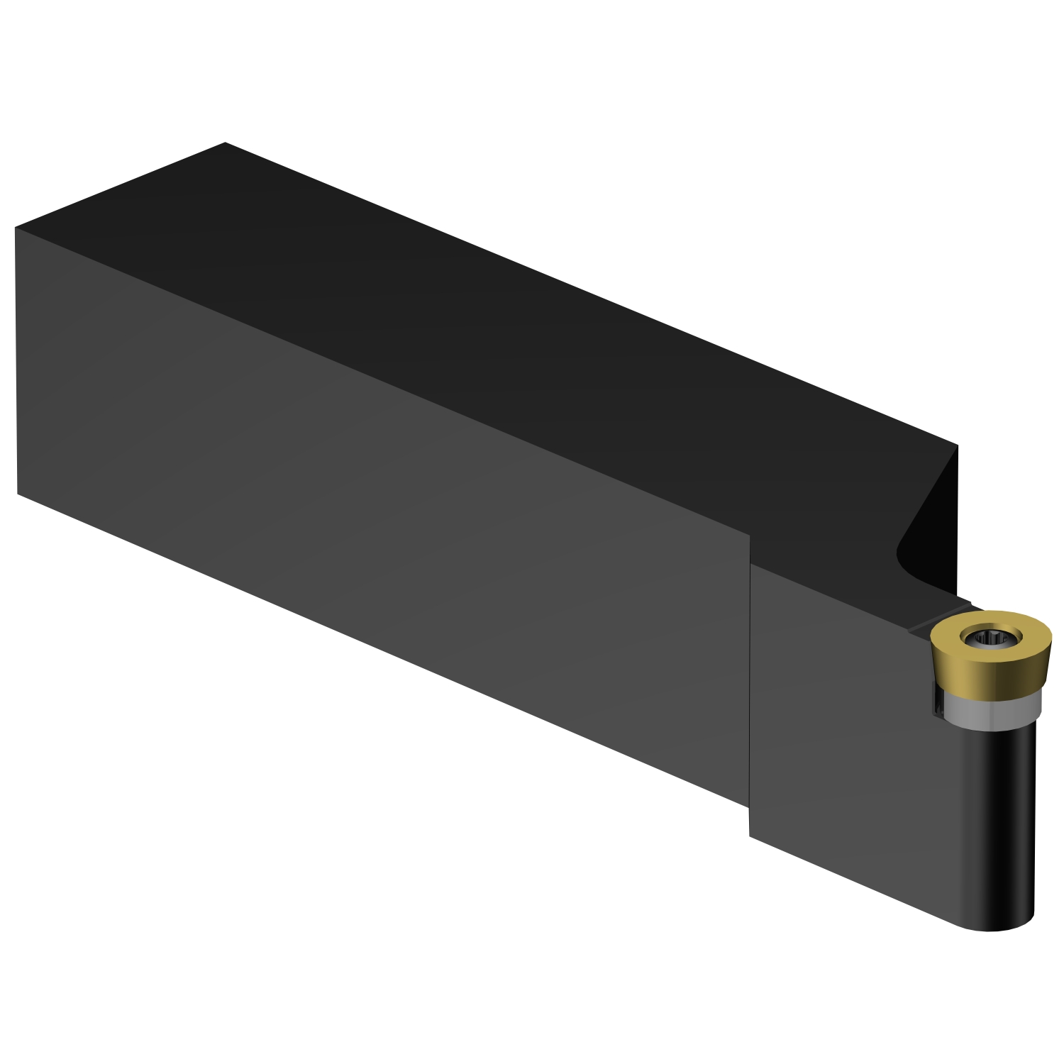 SRSCL 20 4D CoroTurn® 107 shank tool for turning