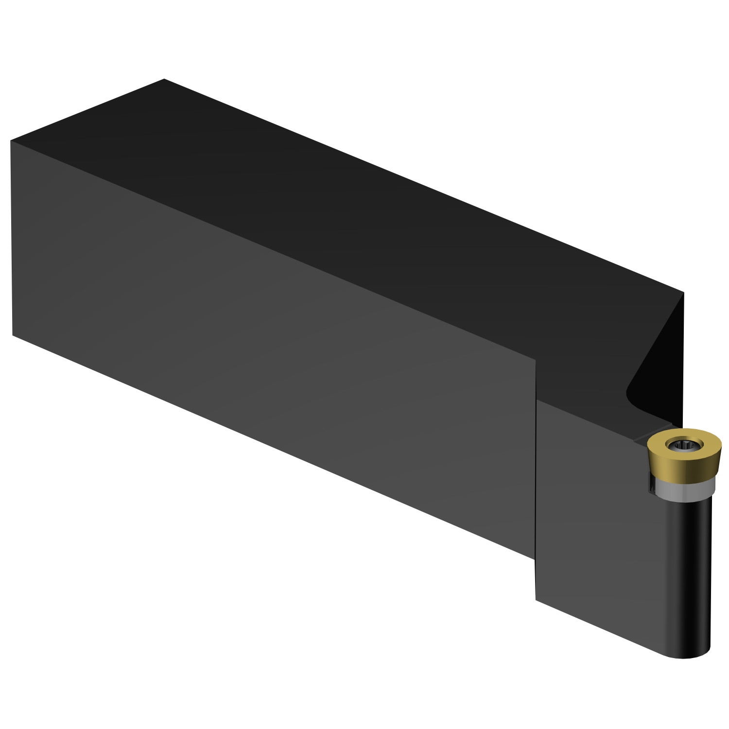 SRSCL 24 4E CoroTurn® 107 shank tool for turning