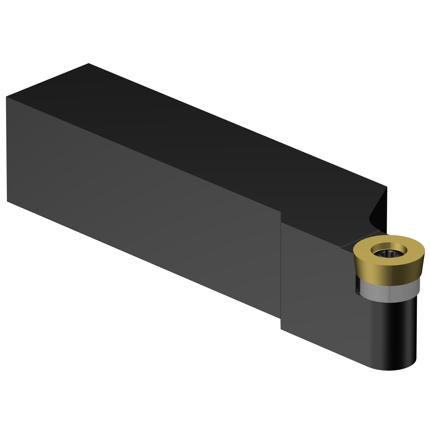 SRSCL 20 6D CoroTurn® 107 shank tool for turning