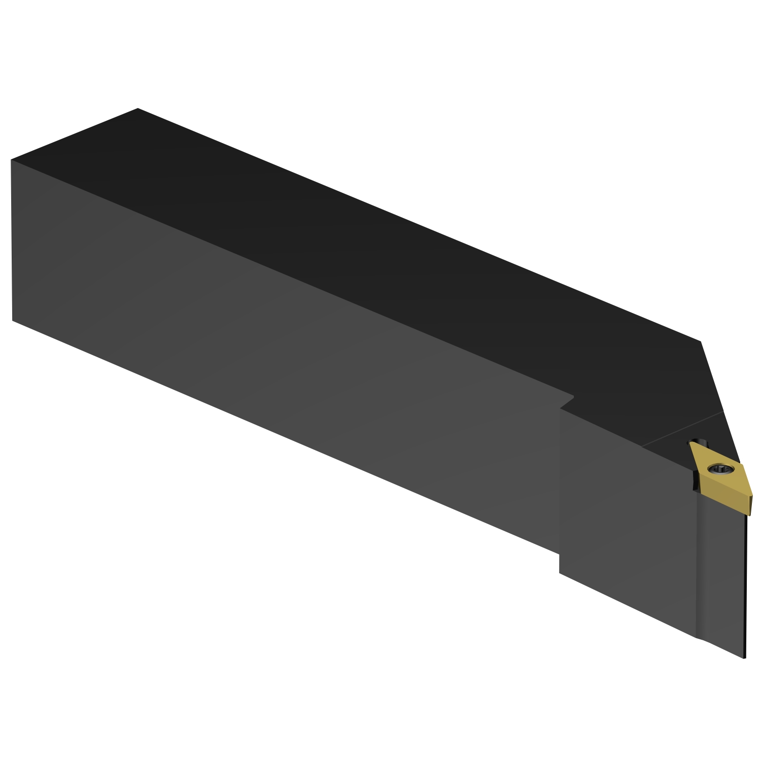 SVJBL 162D-B1  CoroTurn® 107 shank tool for turning