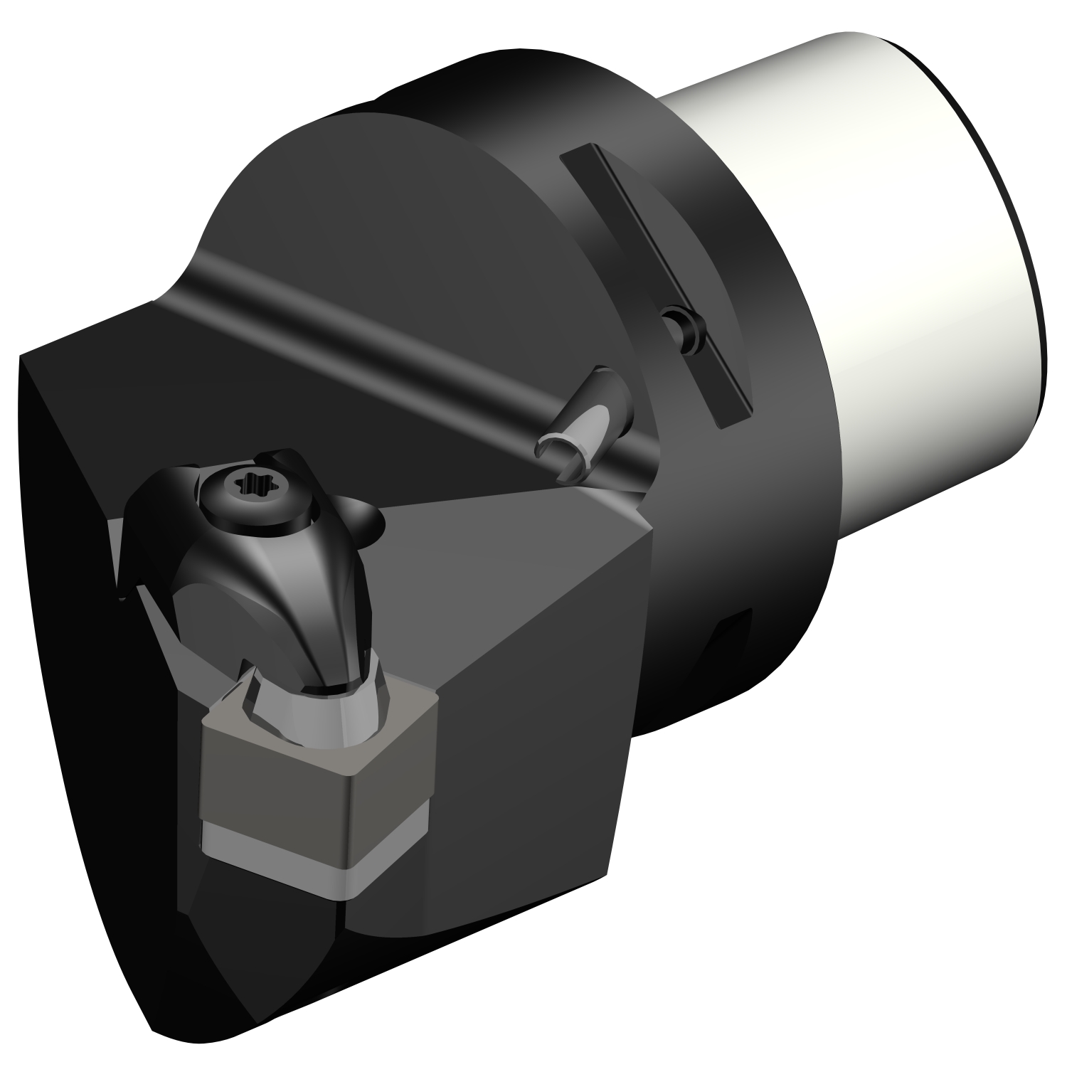 C5-CSKNR-35060-12-4  T-Max® cutting unit for turning