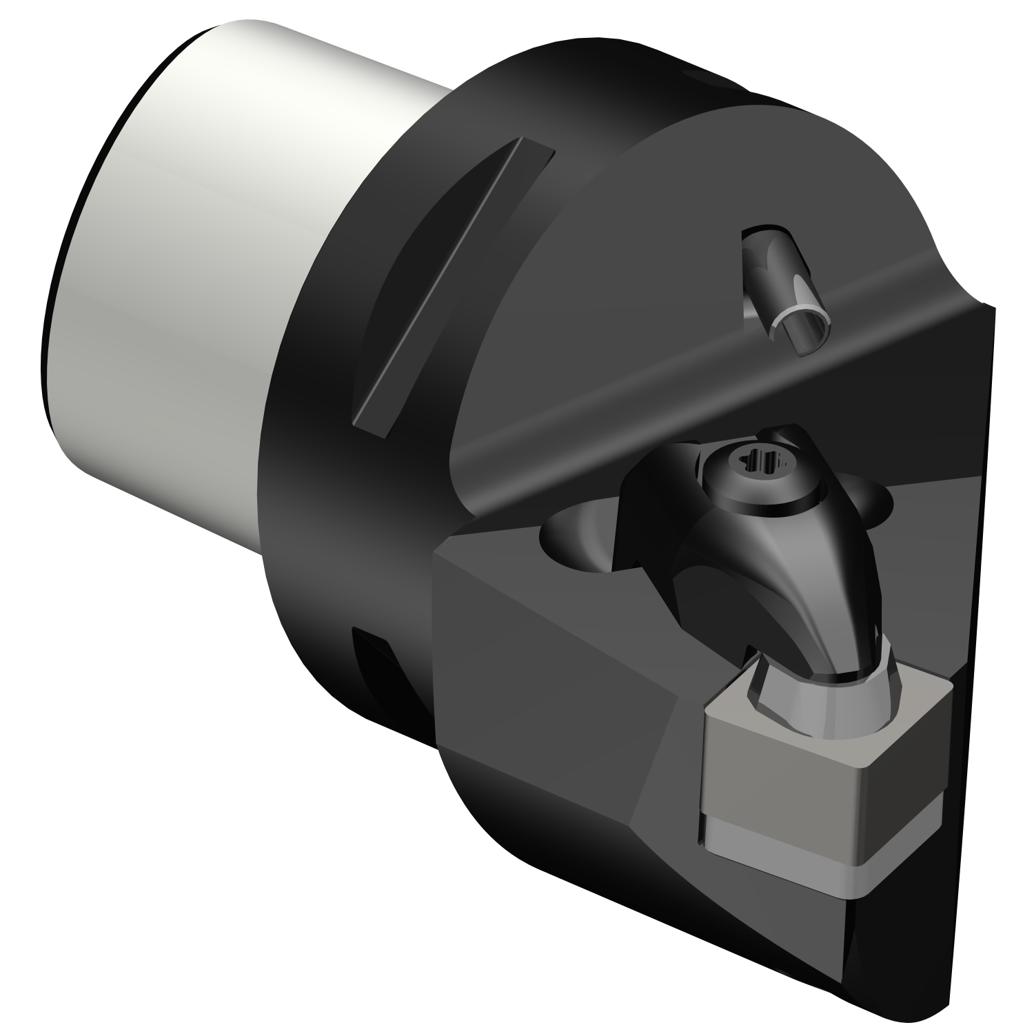 C5-CSRNL-27060-12-4  T-Max® cutting unit for turning