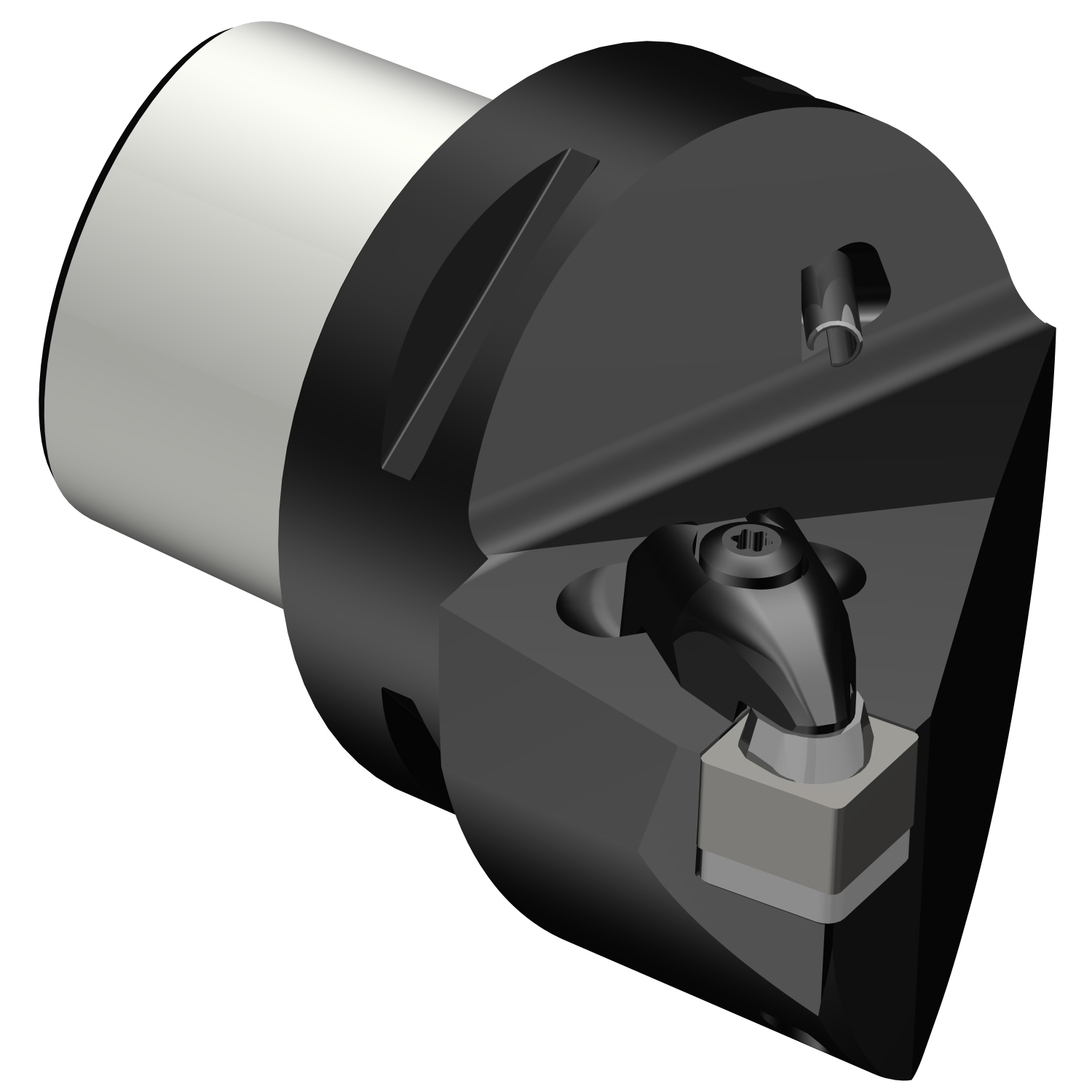 C6-CSRNL-35065-12-4  T-Max® cutting unit for turning