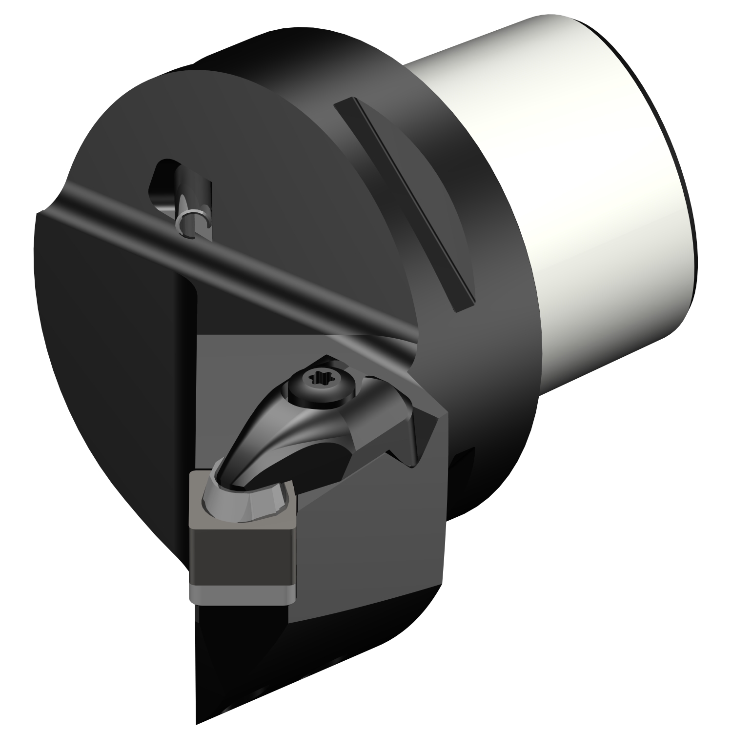 C6-CSSNR-45056-12-4  T-Max® cutting unit for turning