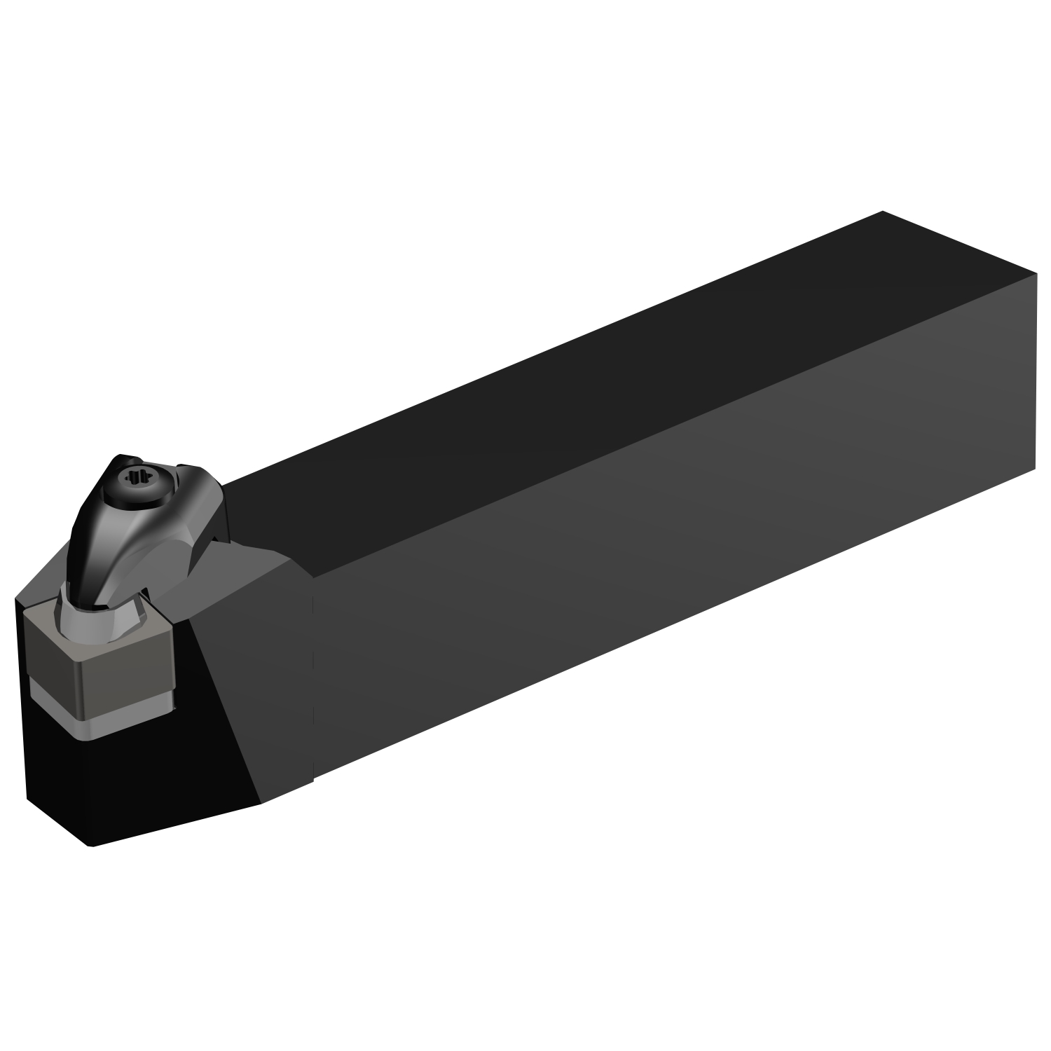CSBNR 2525M 12-4 T-Max® shank tool for turning