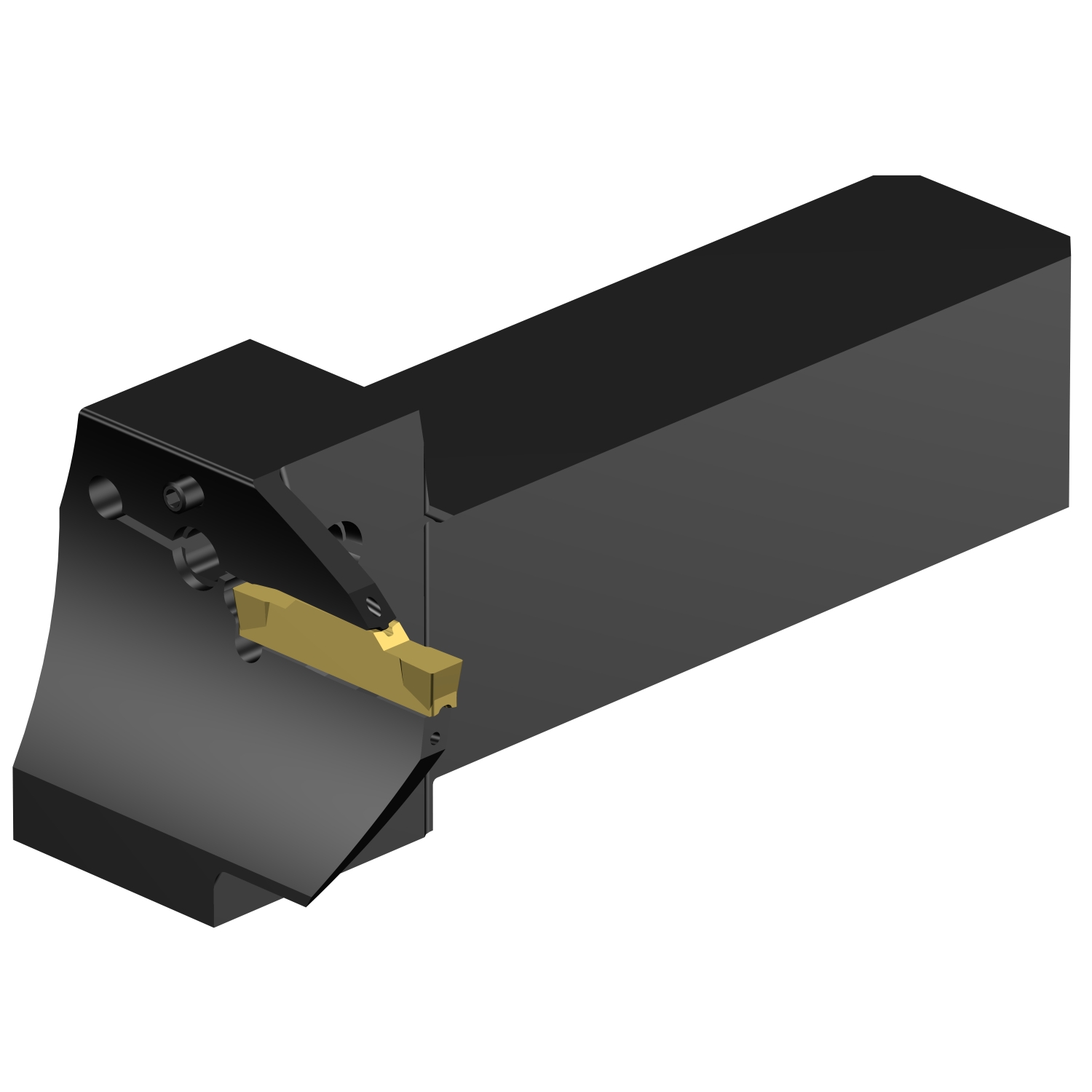 QS-RG123H20C2525E-064B  CoroCut® 1-2 QS shank tool for face grooving