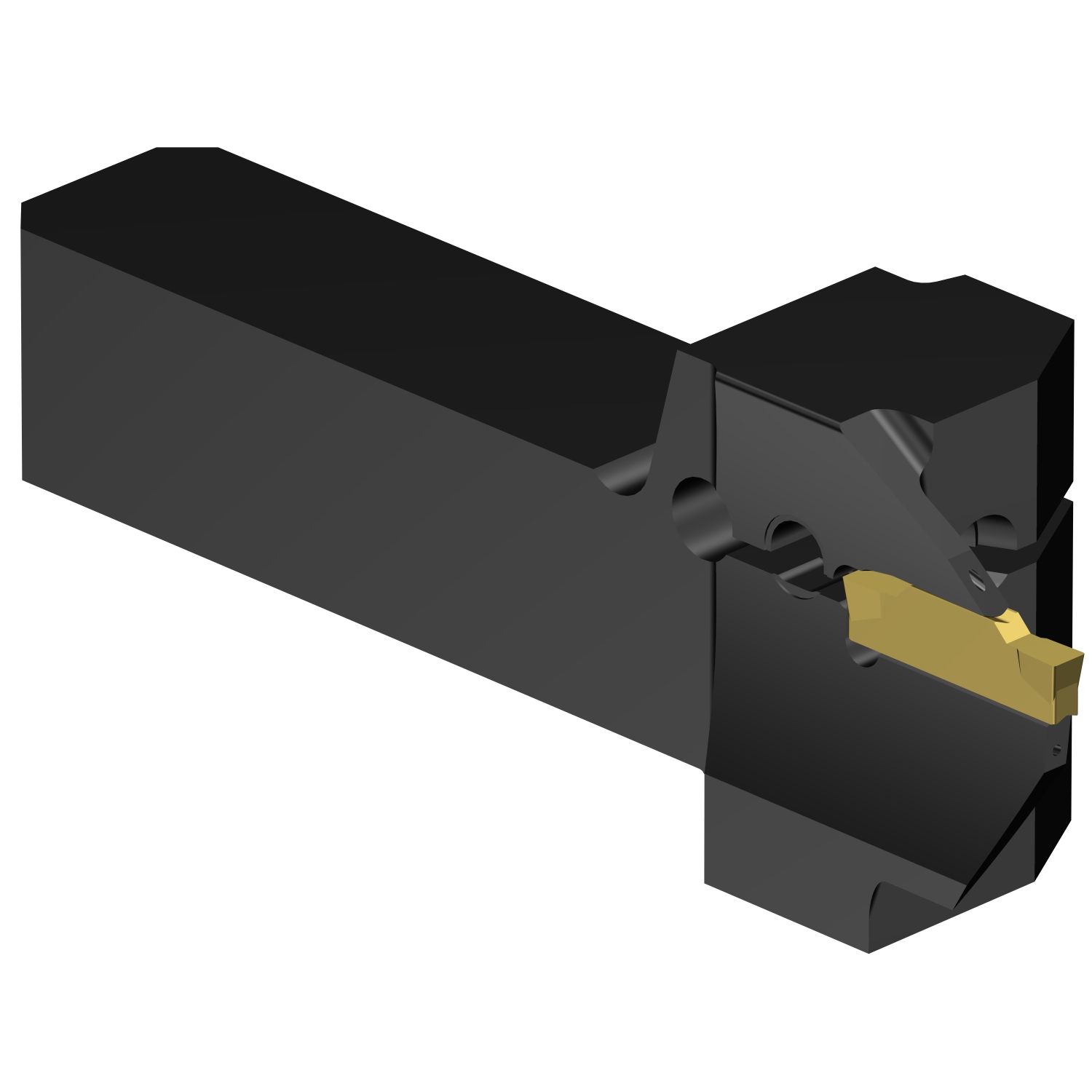 QS-LF123G055C12E-090B  CoroCut® 1-2 QS shank tool for face grooving