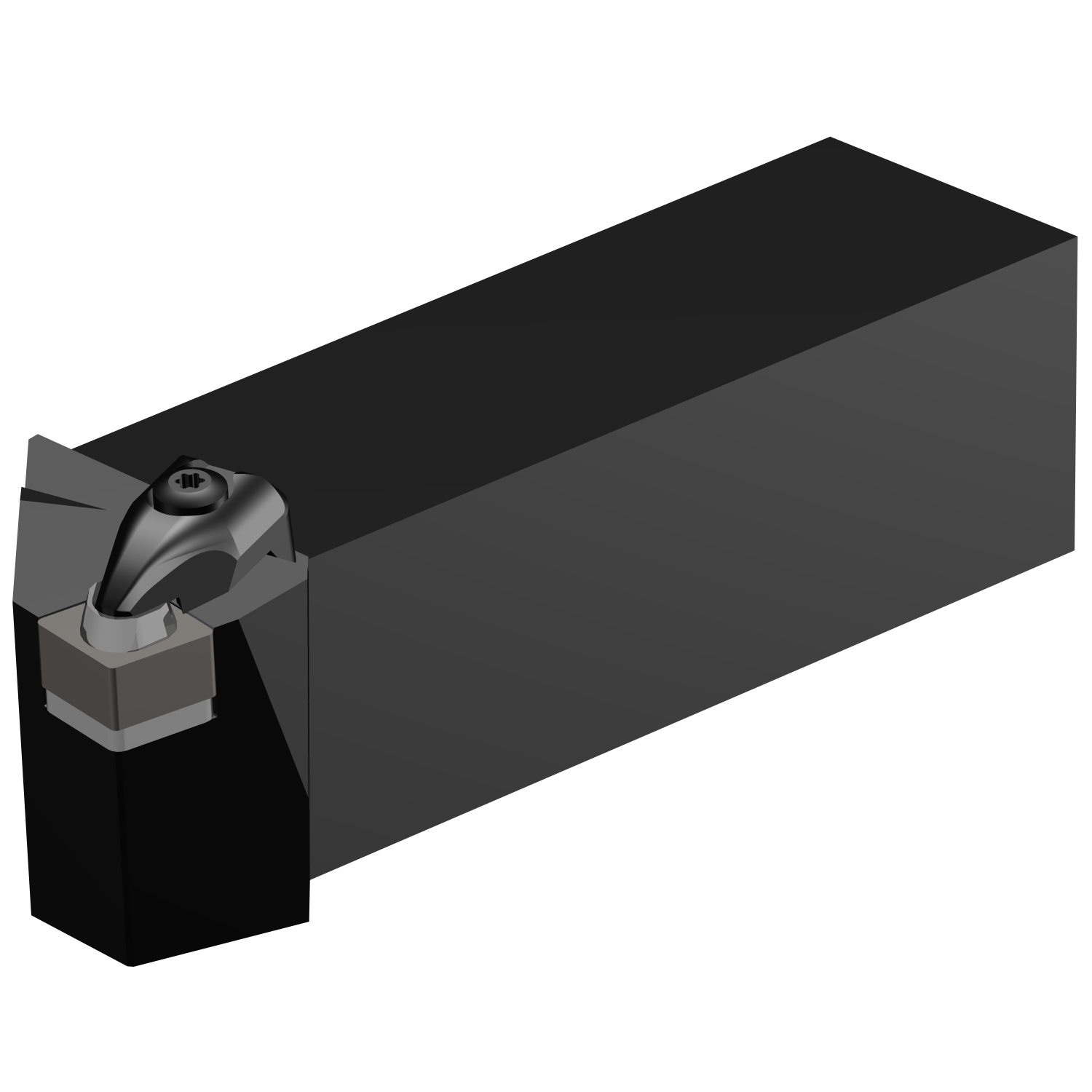 CCRNR 244DM1-4  T-Max® shank tool for turning