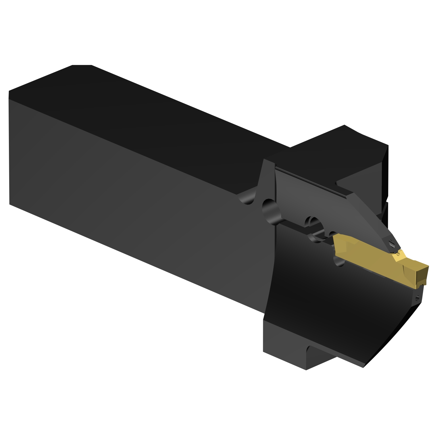 QS-LF123H100C16E-064B  CoroCut® 1-2 QS shank tool for face grooving