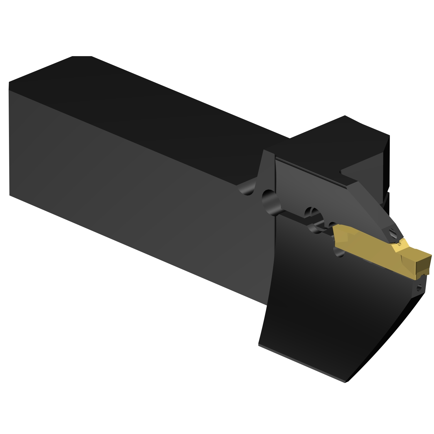 QS-LF123J100C16E-085B  CoroCut® 1-2 QS shank tool for face grooving