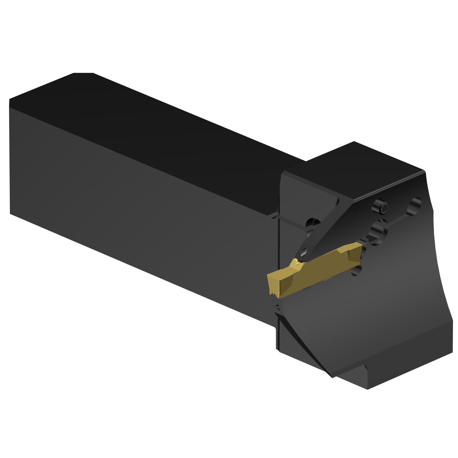 QS-LG123H075C16E-064B  CoroCut® 1-2 QS shank tool for face grooving