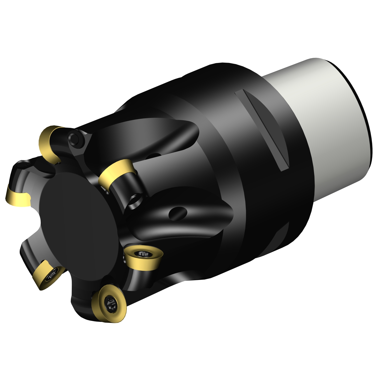 R300-042C4-08H  CoroMill® 300 face milling cutter
