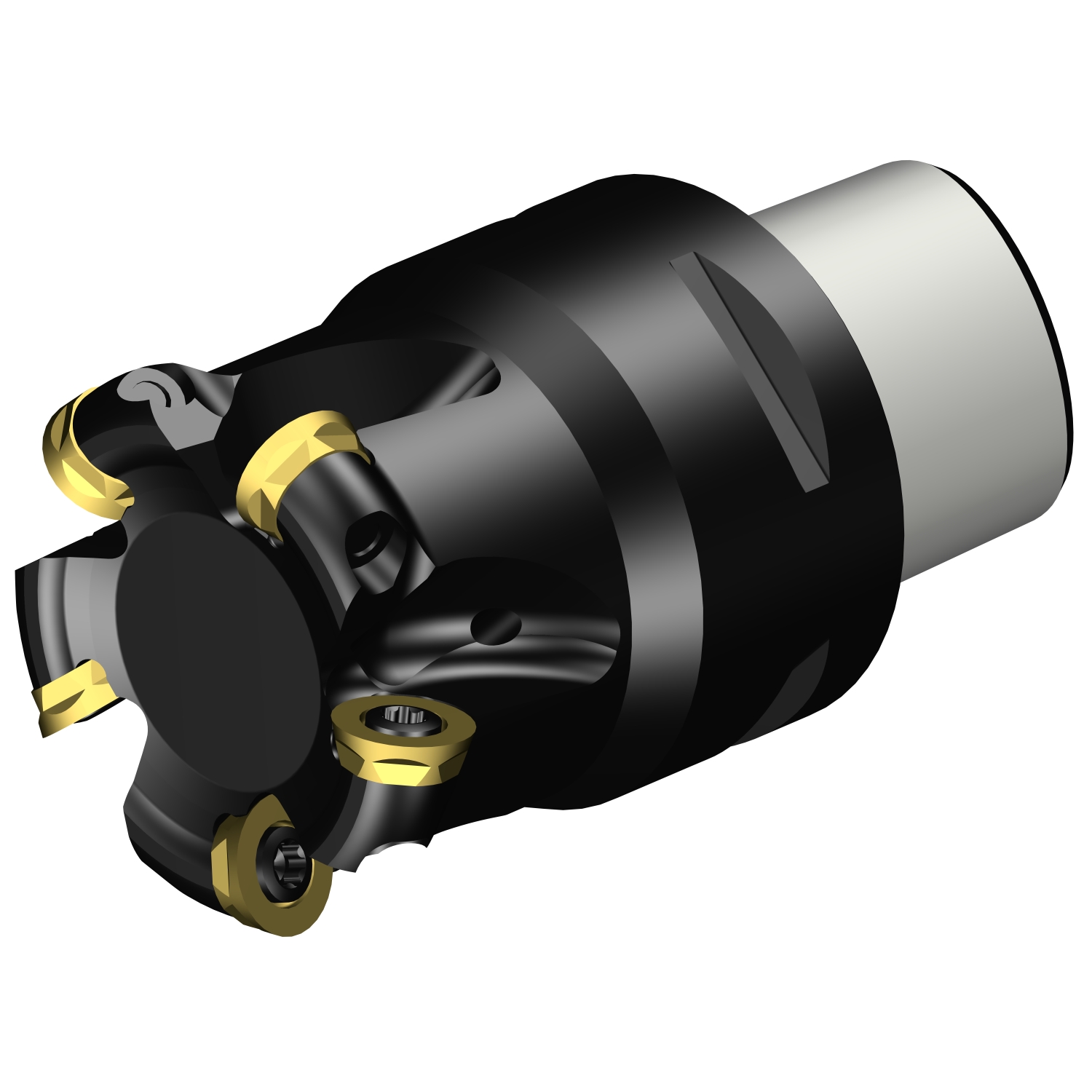 R300-042C4-10H  CoroMill® 300 face milling cutter