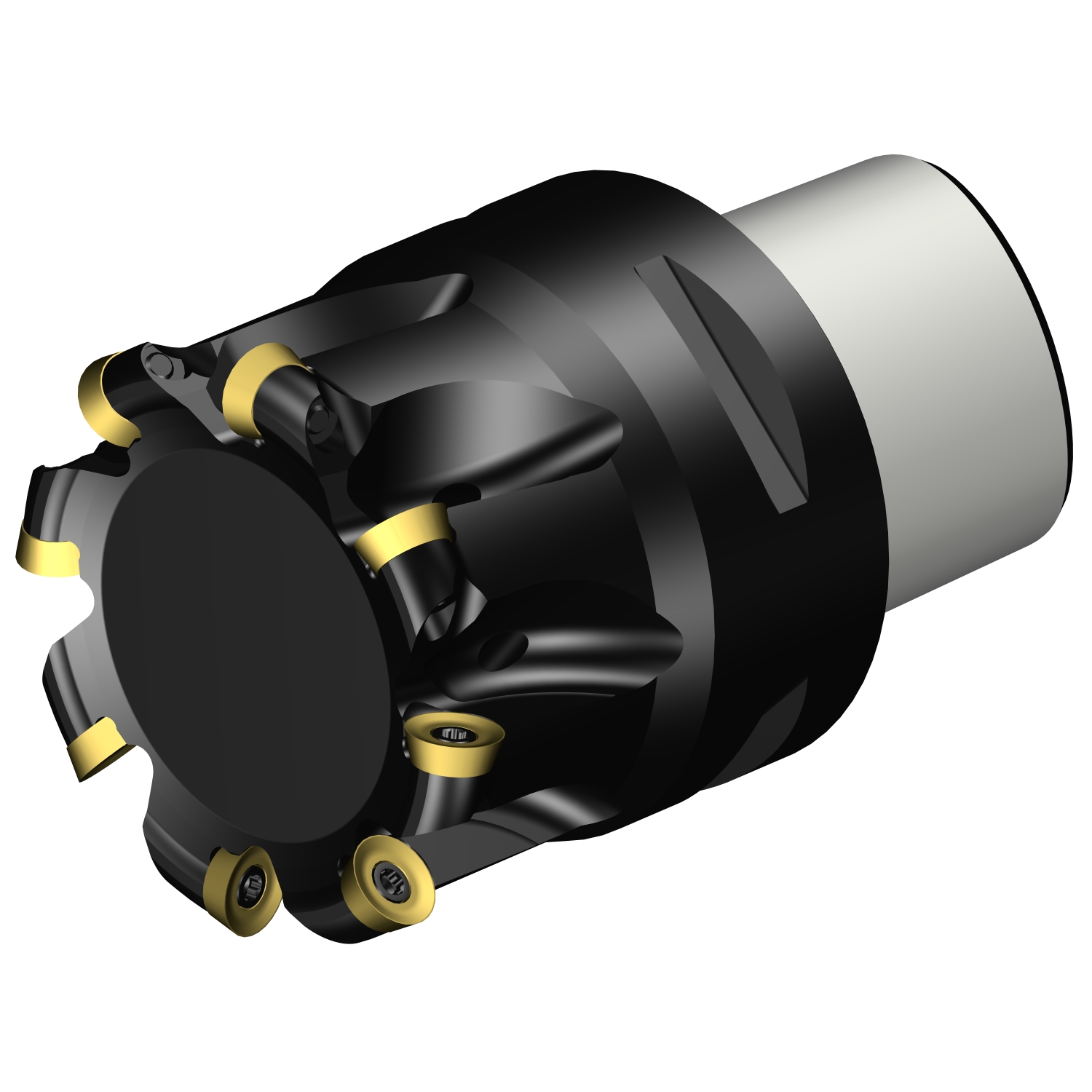 R300-052C5-08H CoroMill® 300 face milling cutter